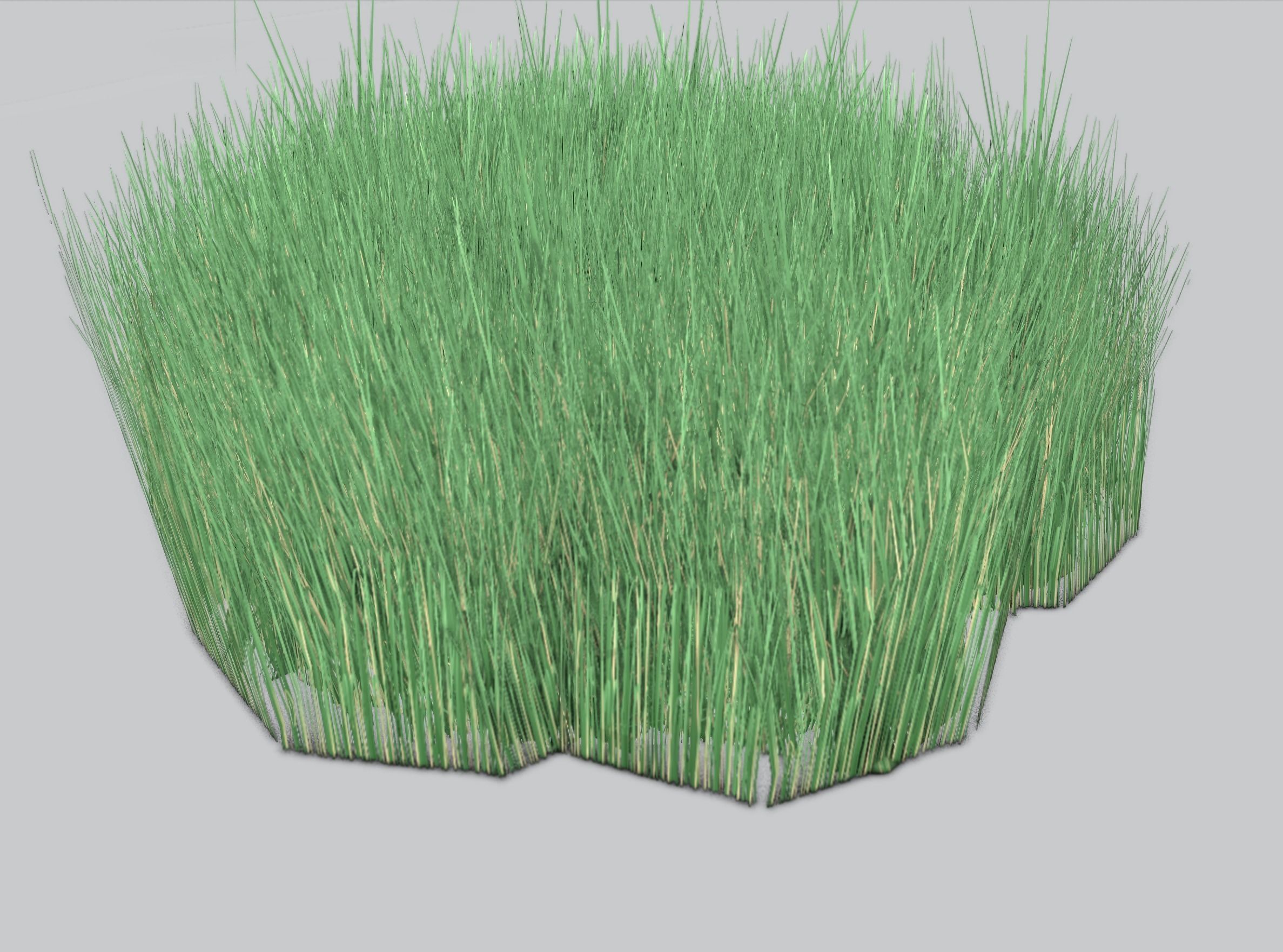 Reeds - Object 55 Low-poly 3D model_39
