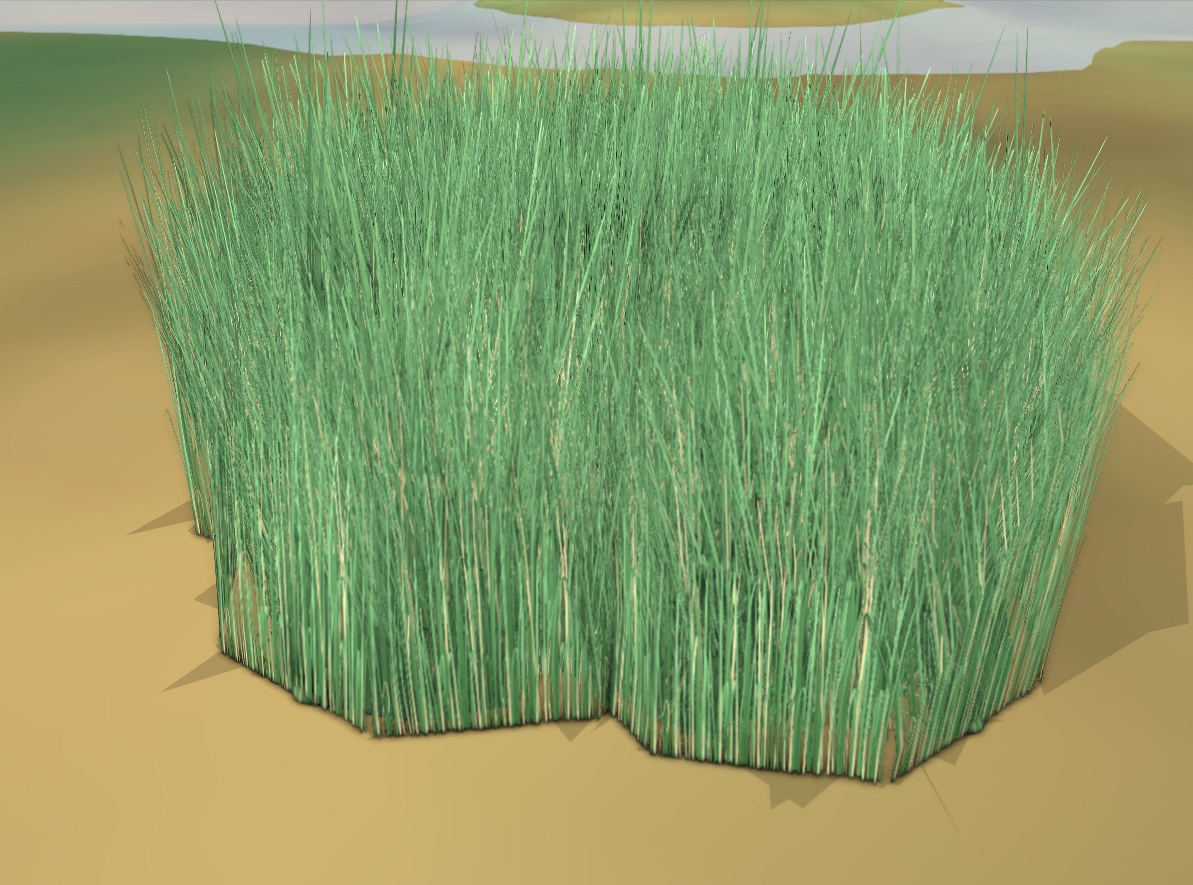 Reeds - Object 55 Low-poly 3D model_47