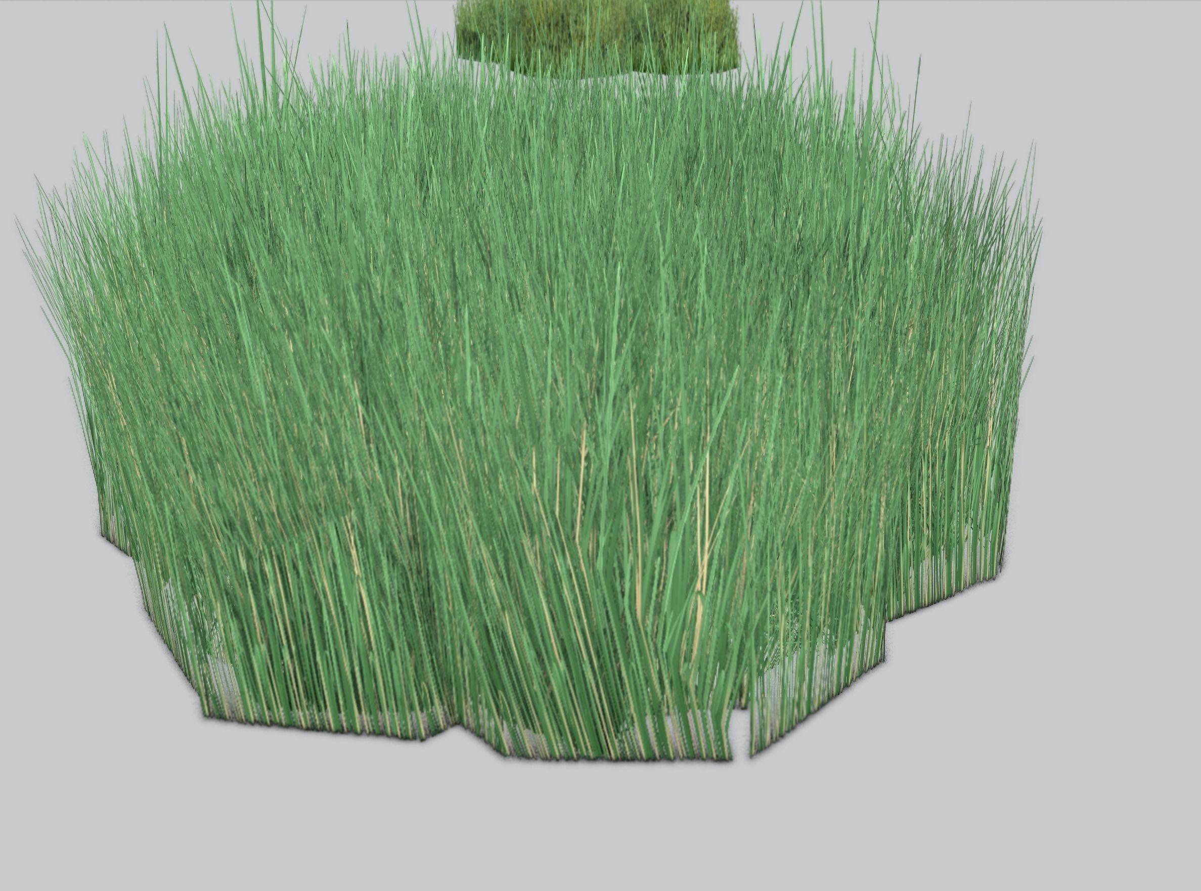 Reeds - Object 55 Low-poly 3D model_32