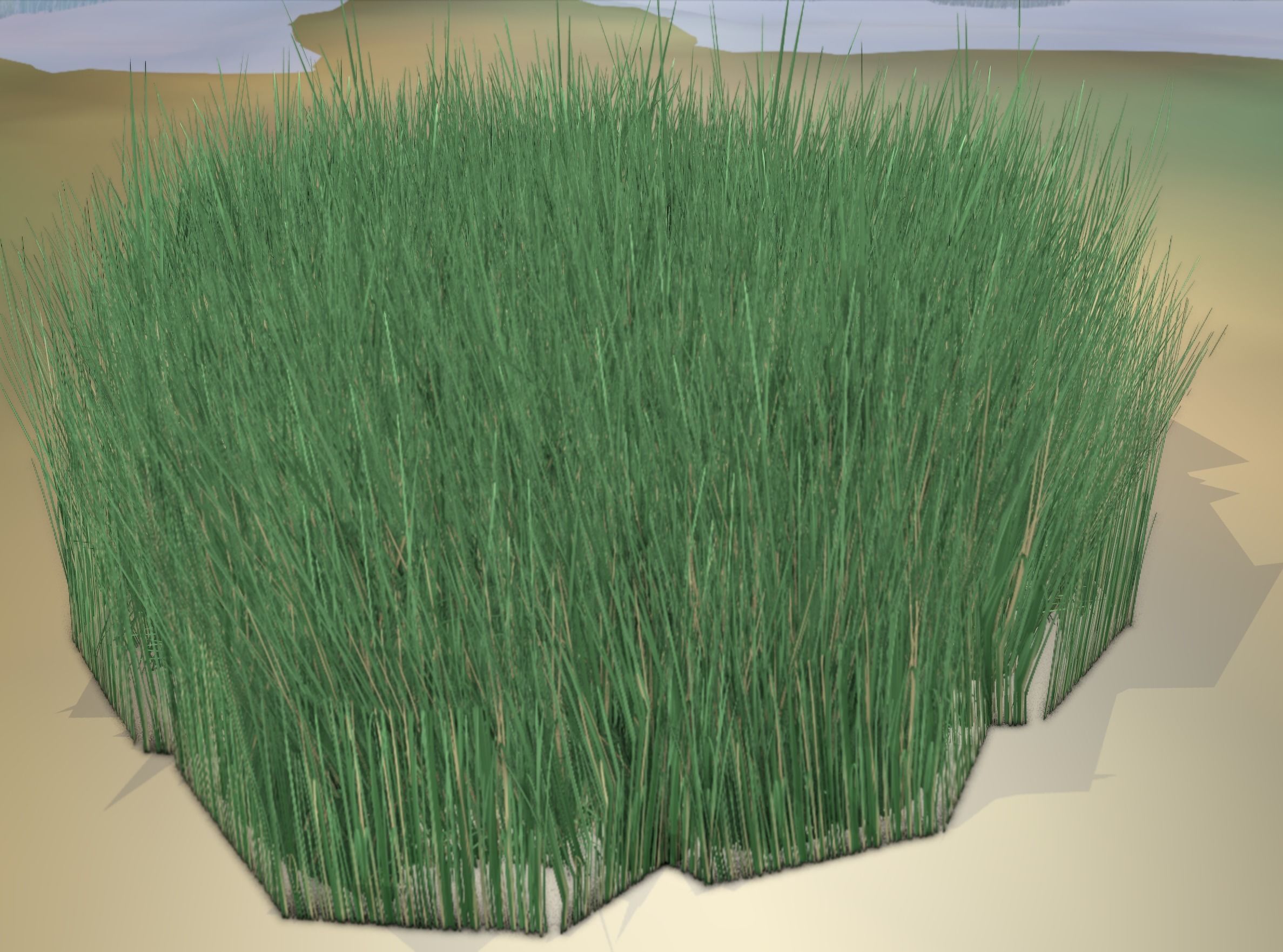 Reeds - Object 55 Low-poly 3D model_18