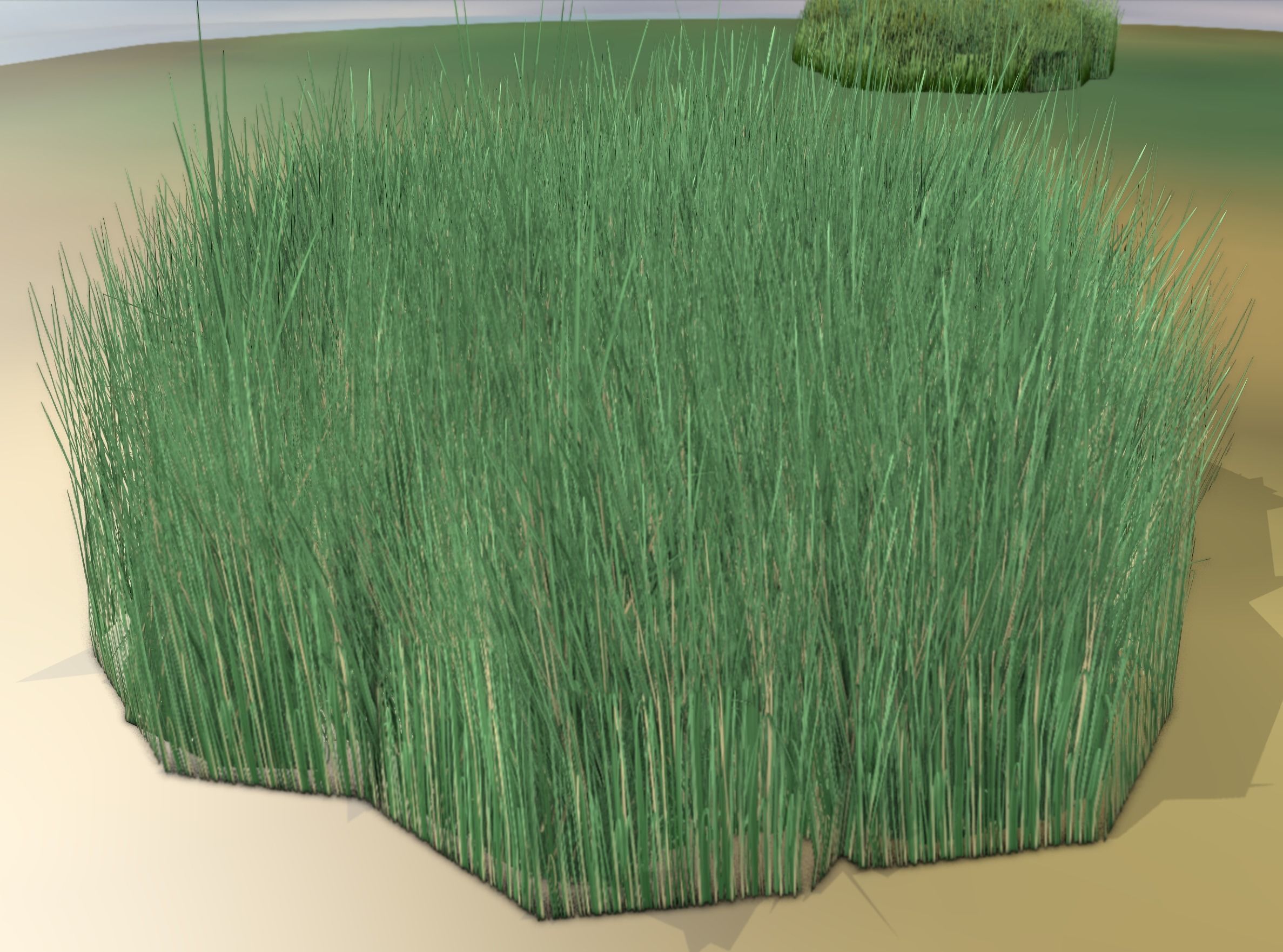 Reeds - Object 55 Low-poly 3D model_10