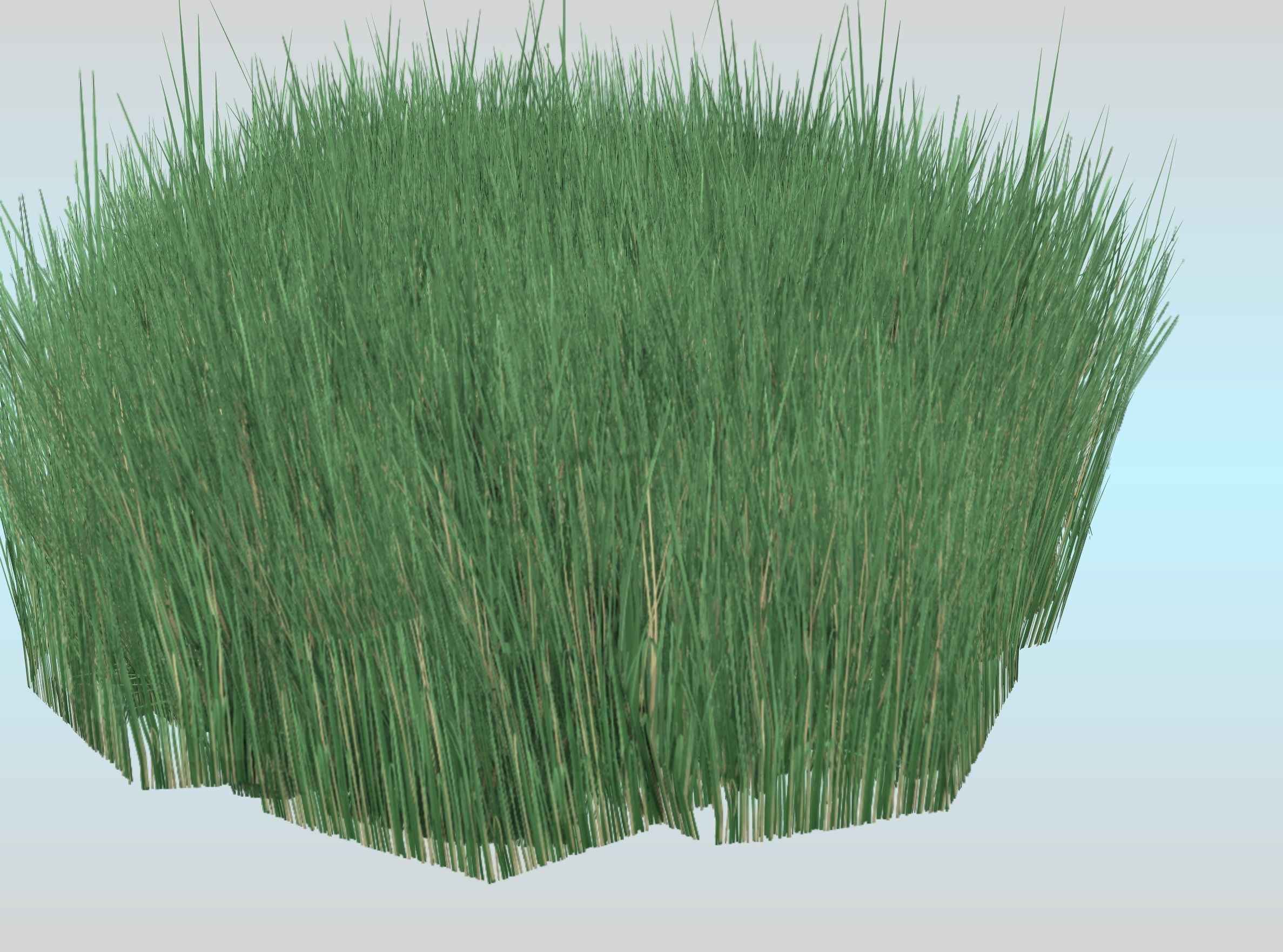 Reeds - Object 55 Low-poly 3D model_23