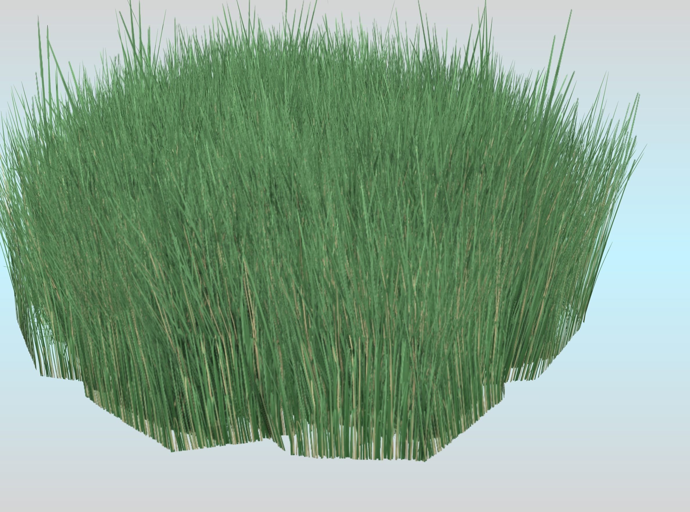 Reeds - Object 55 Low-poly 3D model_25