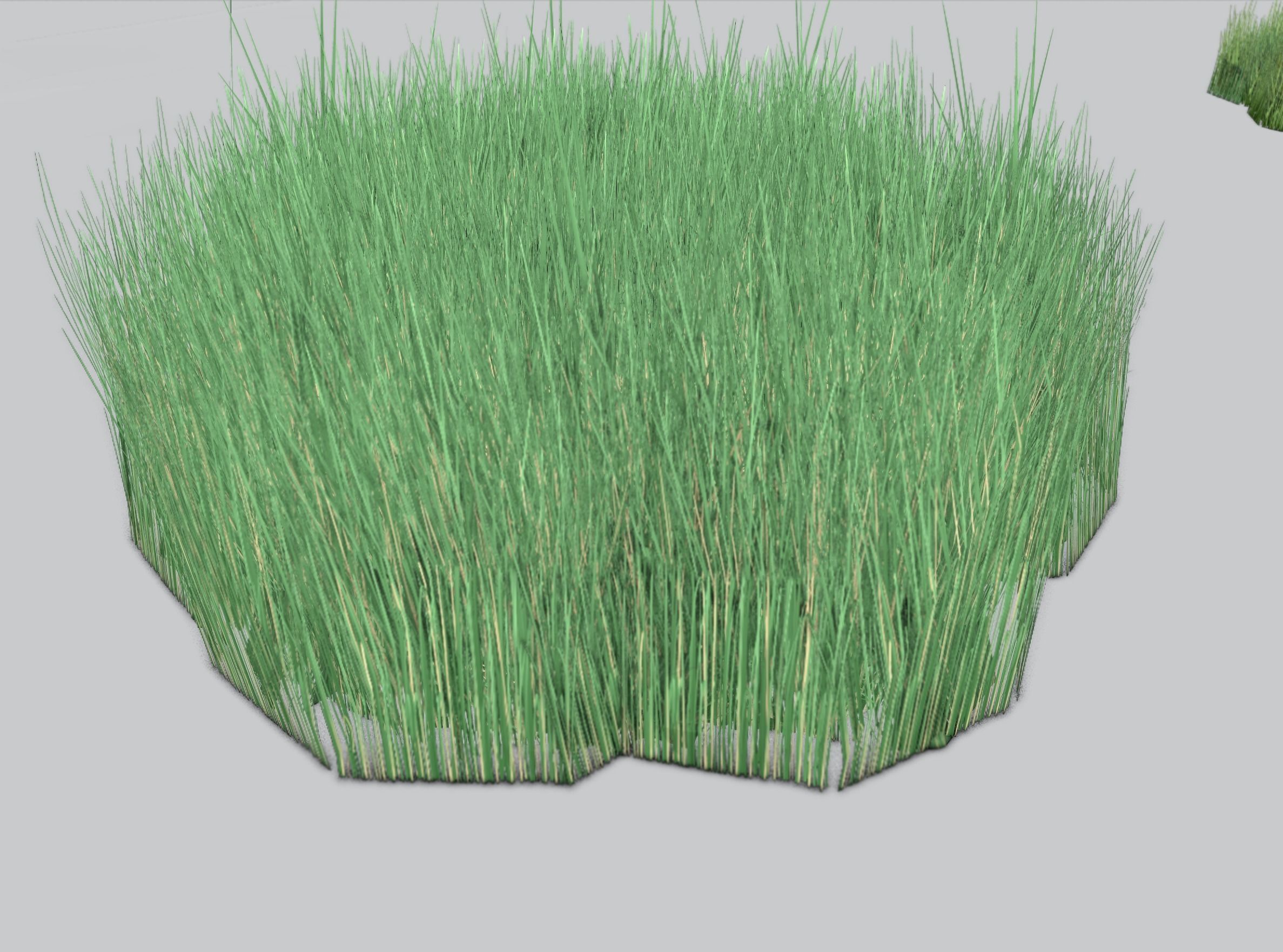 Reeds - Object 55 Low-poly 3D model_38