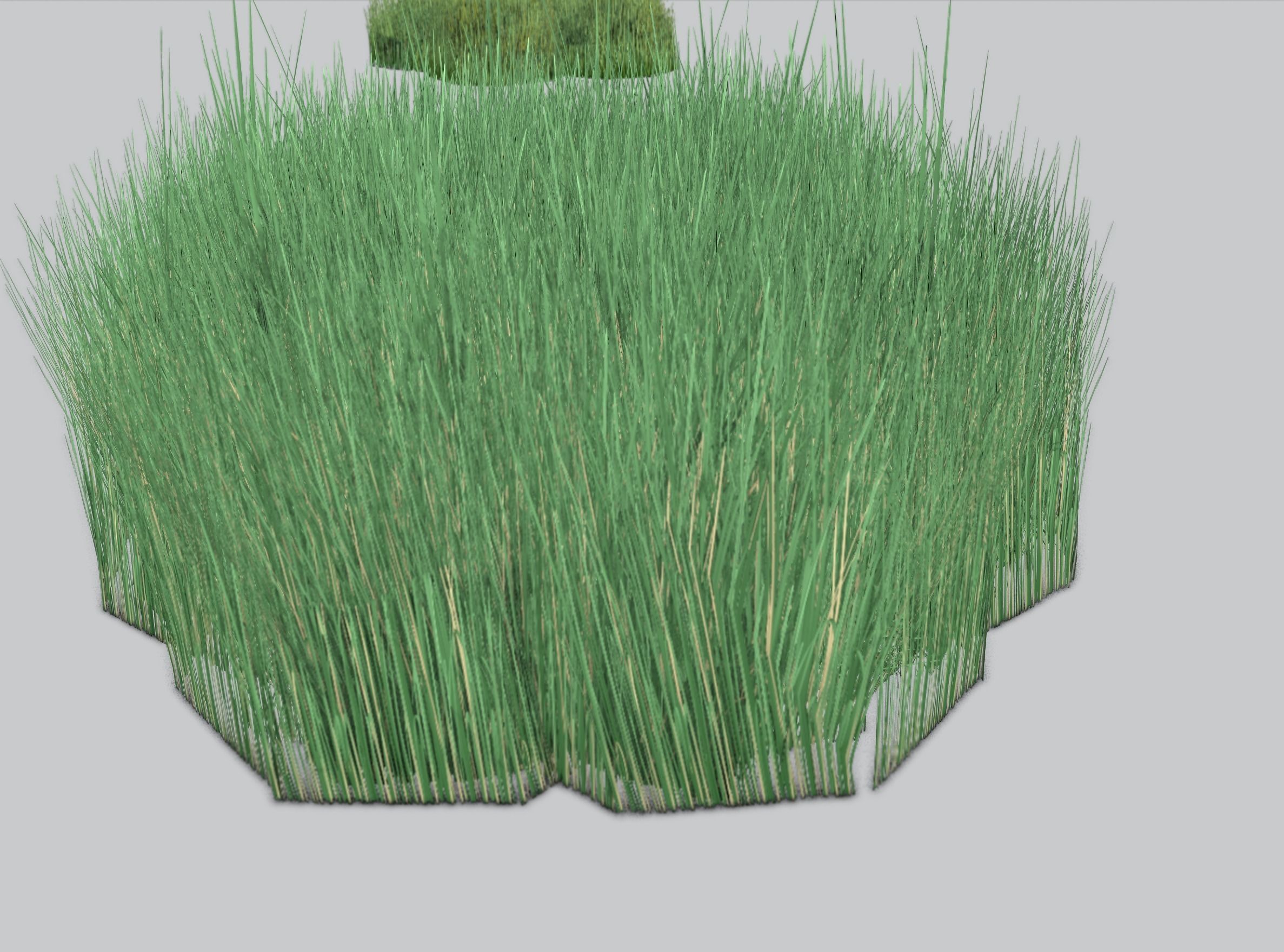Reeds - Object 55 Low-poly 3D model_31