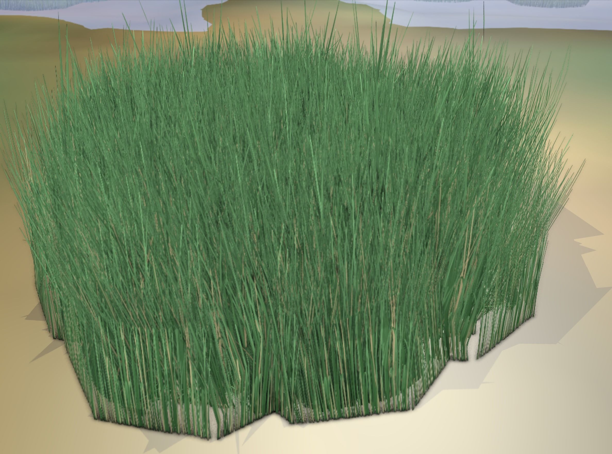 Reeds - Object 55 Low-poly 3D model_19