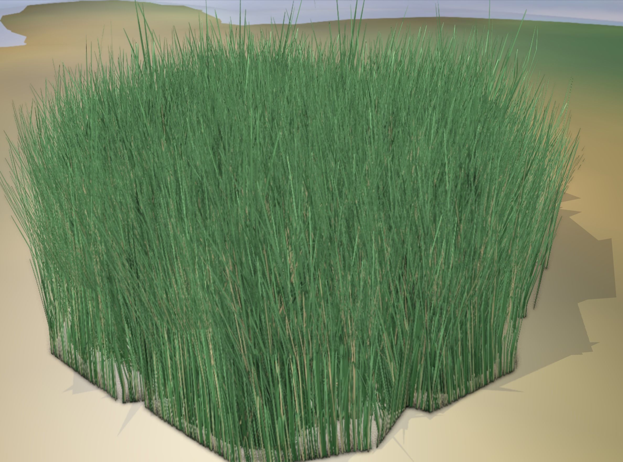Reeds - Object 55 Low-poly 3D model_16