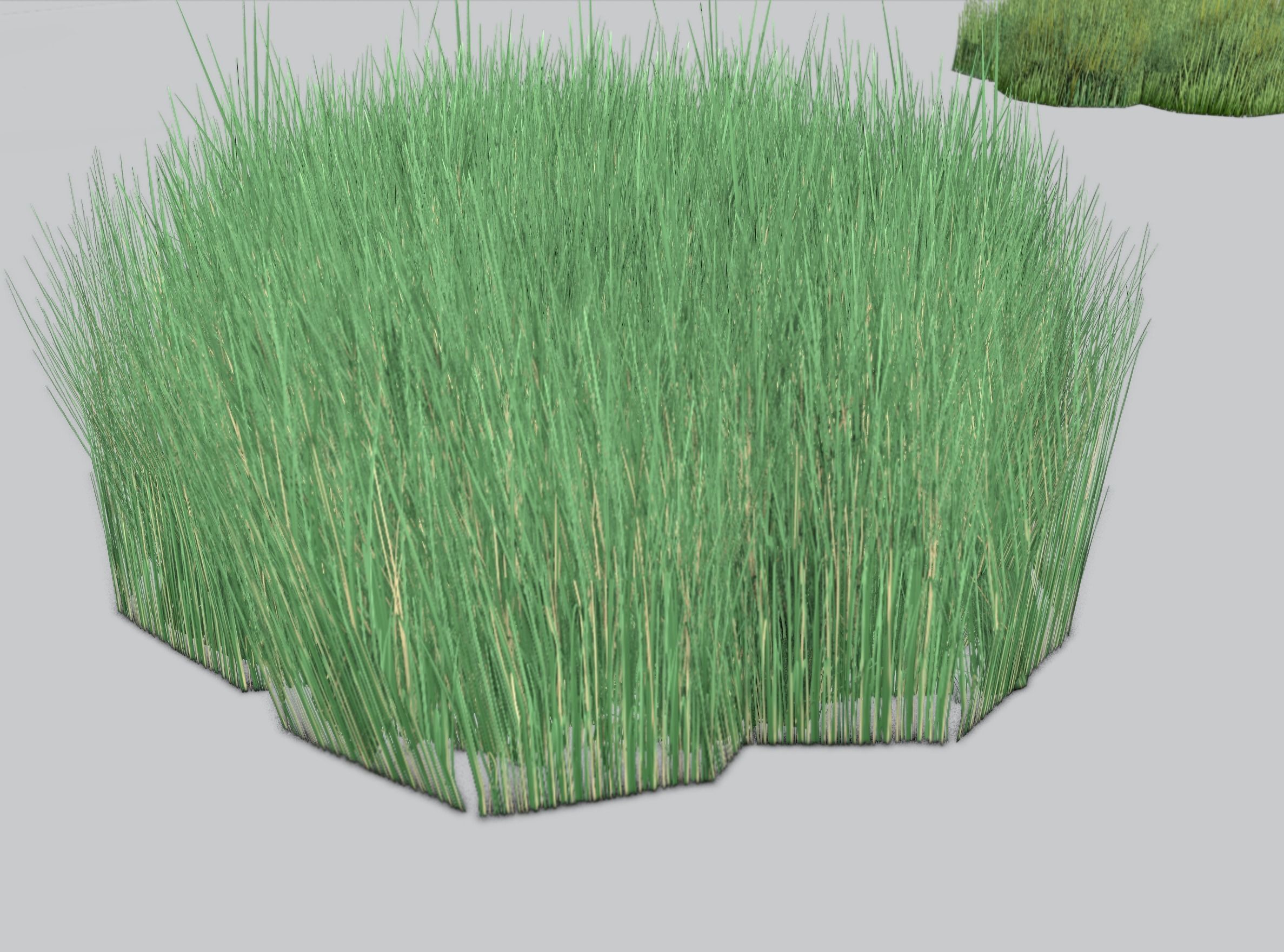 Reeds - Object 55 Low-poly 3D model_36