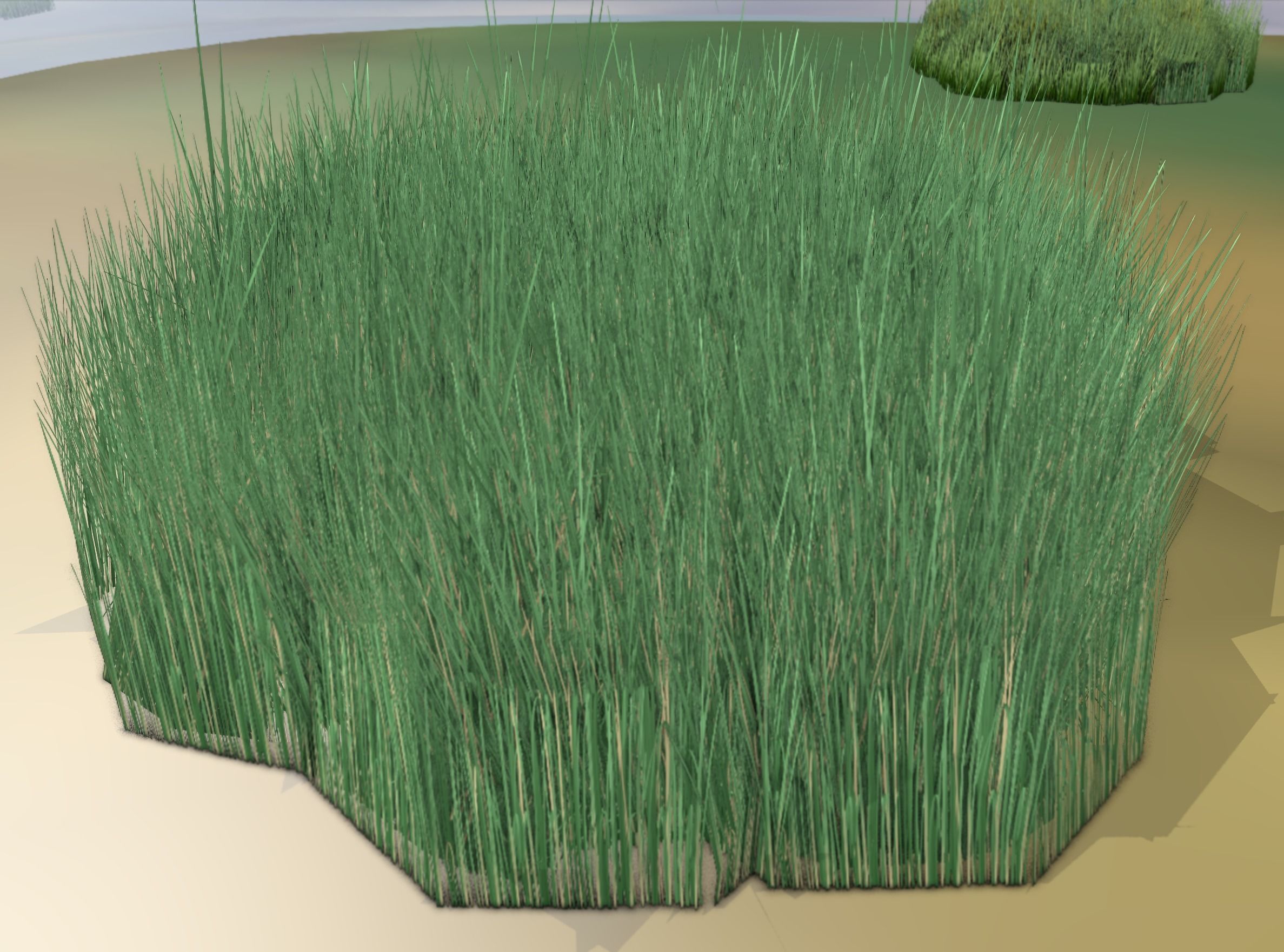 Reeds - Object 55 Low-poly 3D model_11