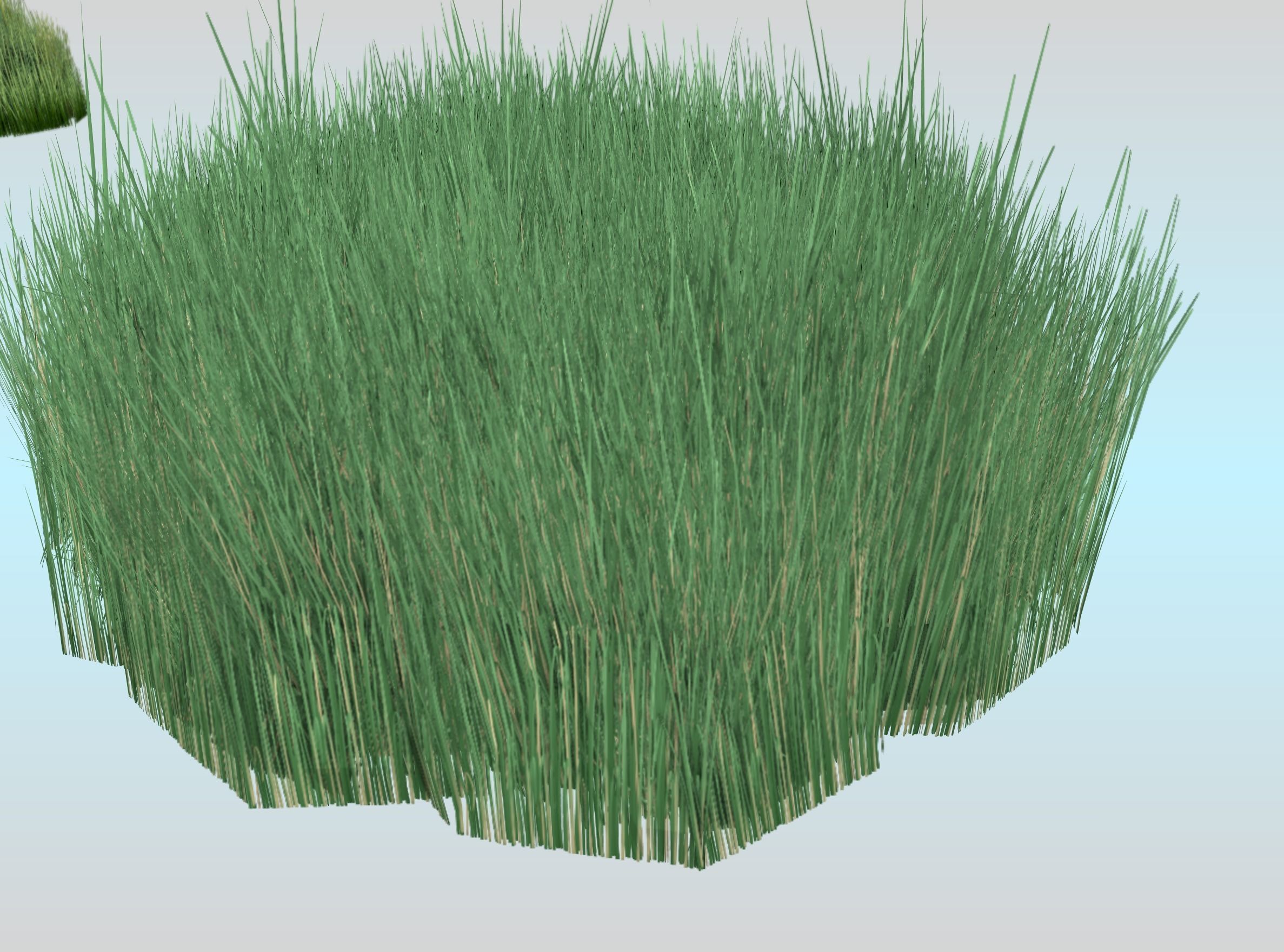 Reeds - Object 55 Low-poly 3D model_26