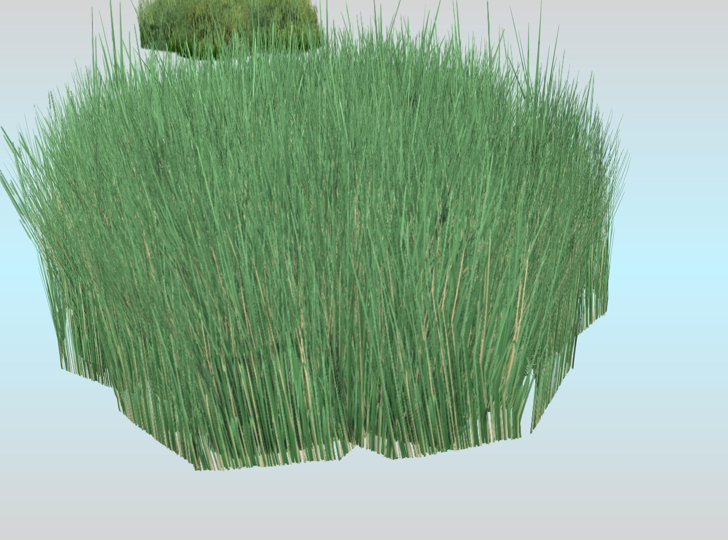 Reeds - Object 55 Low-poly 3D model_30