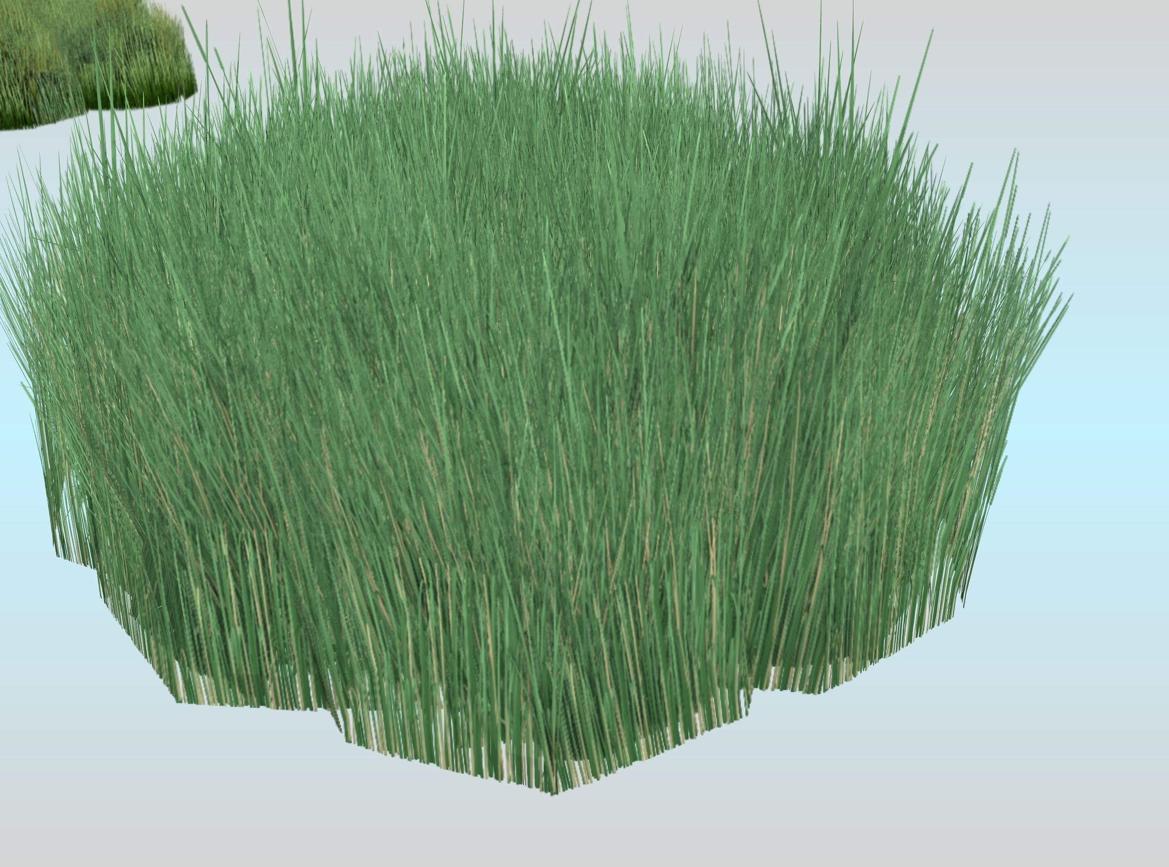 Reeds - Object 55 Low-poly 3D model_27