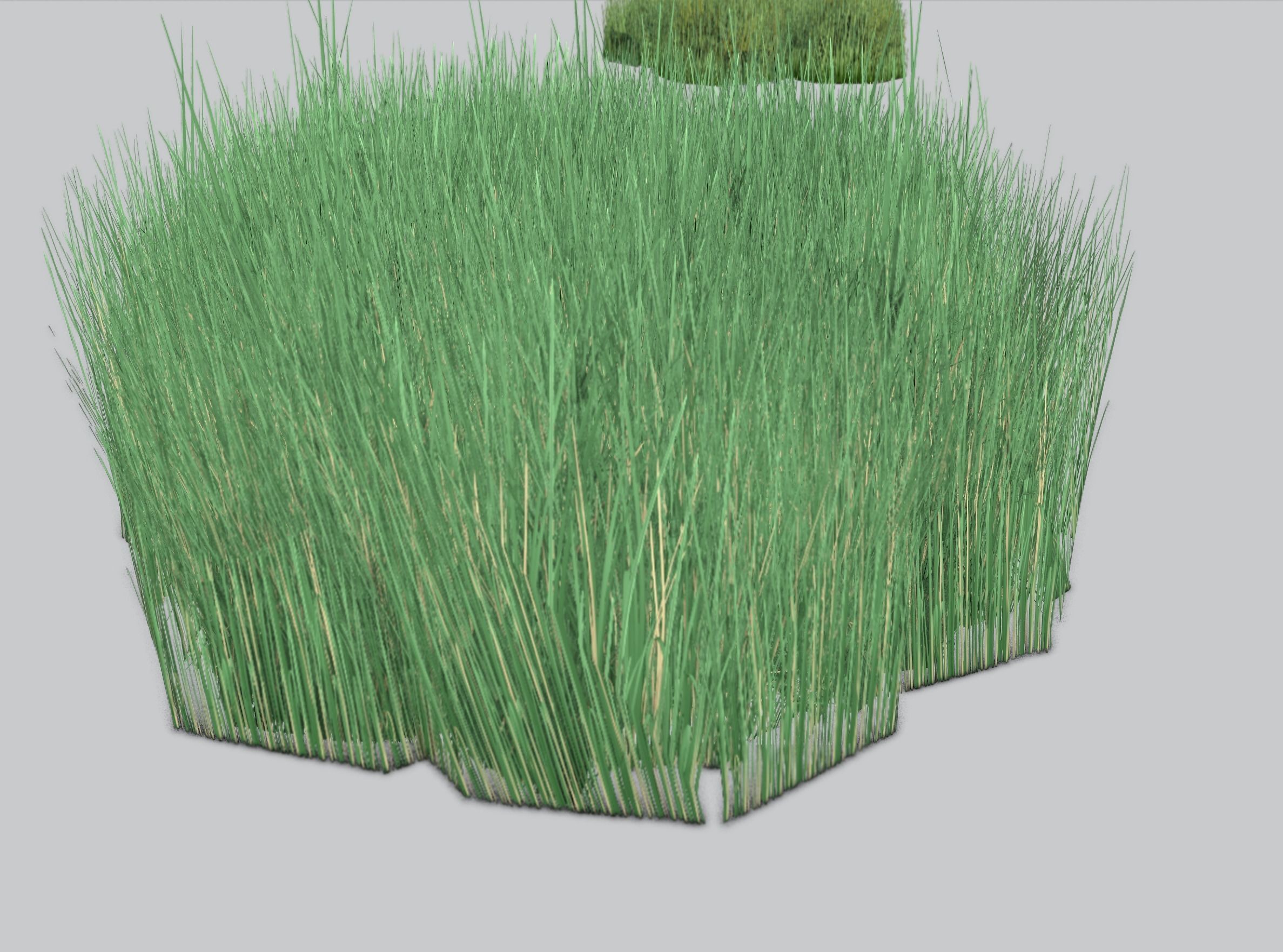 Reeds - Object 55 Low-poly 3D model_33