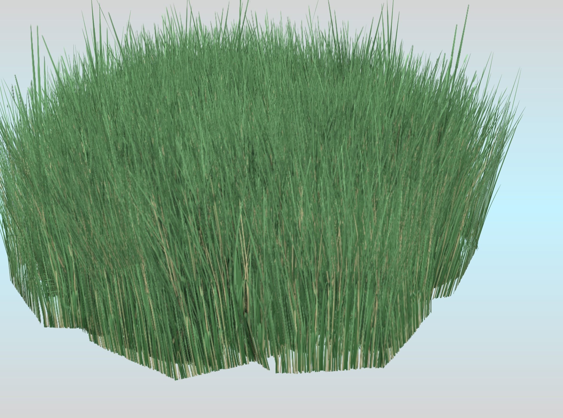 Reeds - Object 55 Low-poly 3D model_24