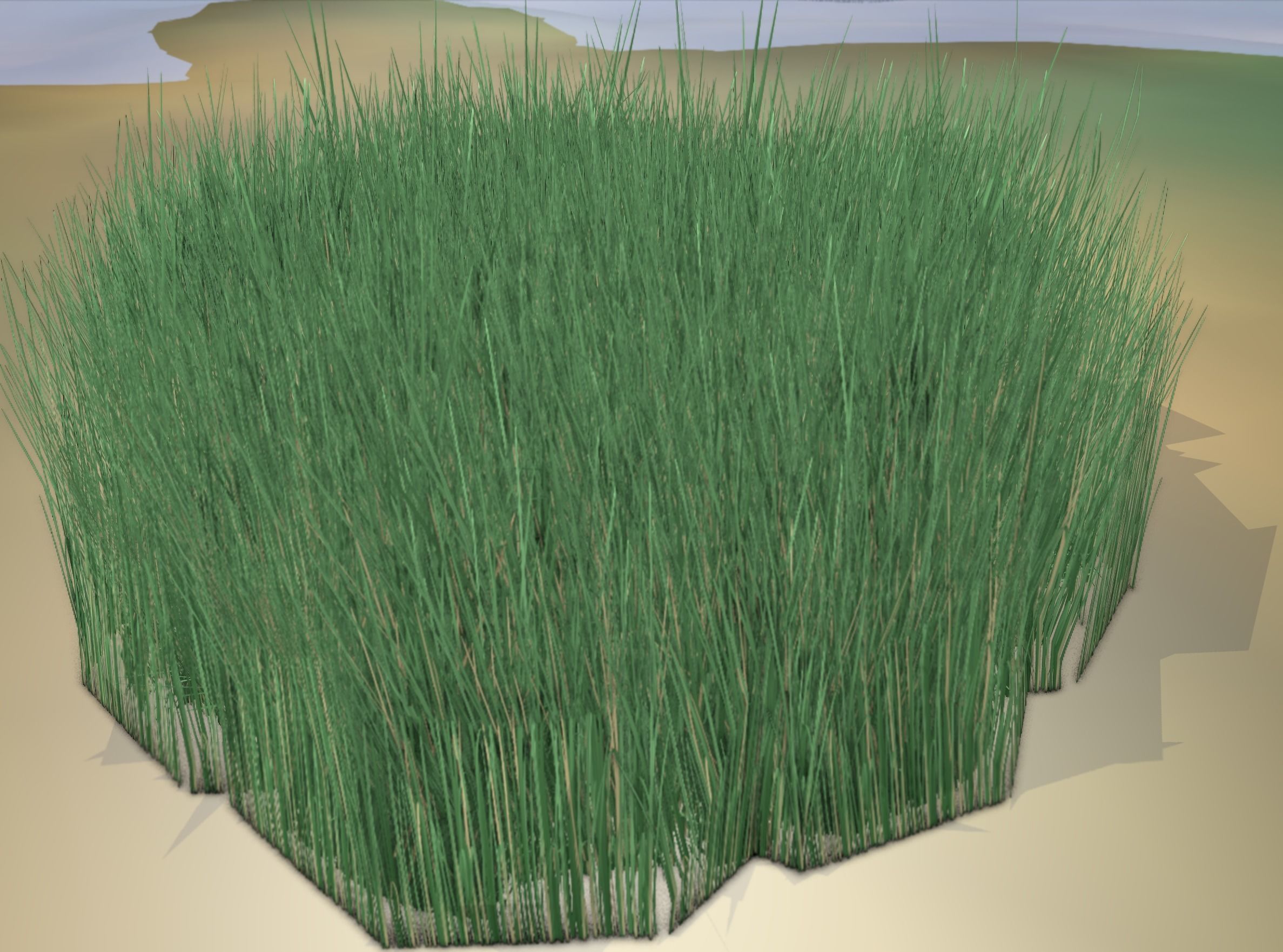 Reeds - Object 55 Low-poly 3D model_17