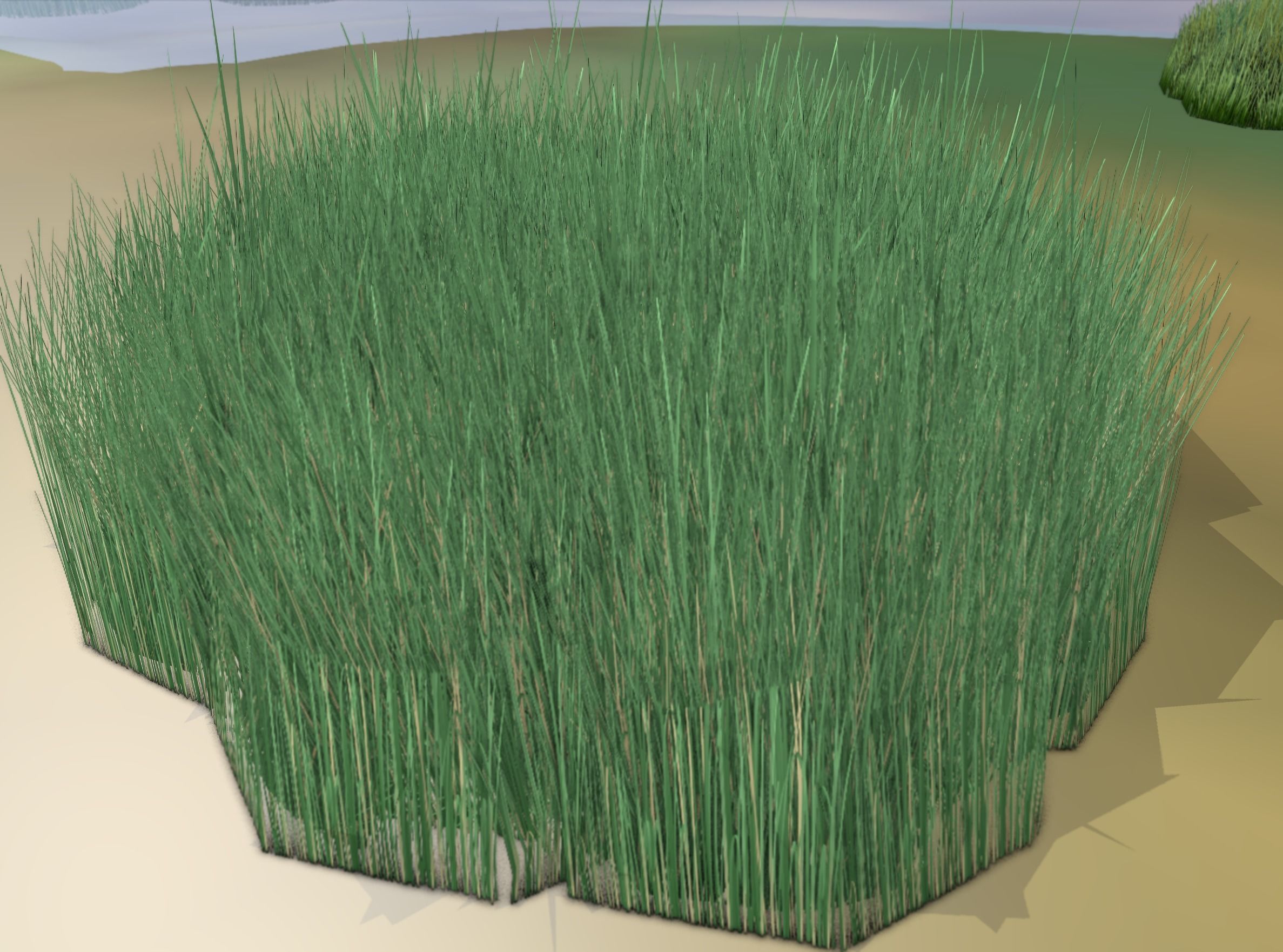 Reeds - Object 55 Low-poly 3D model_13