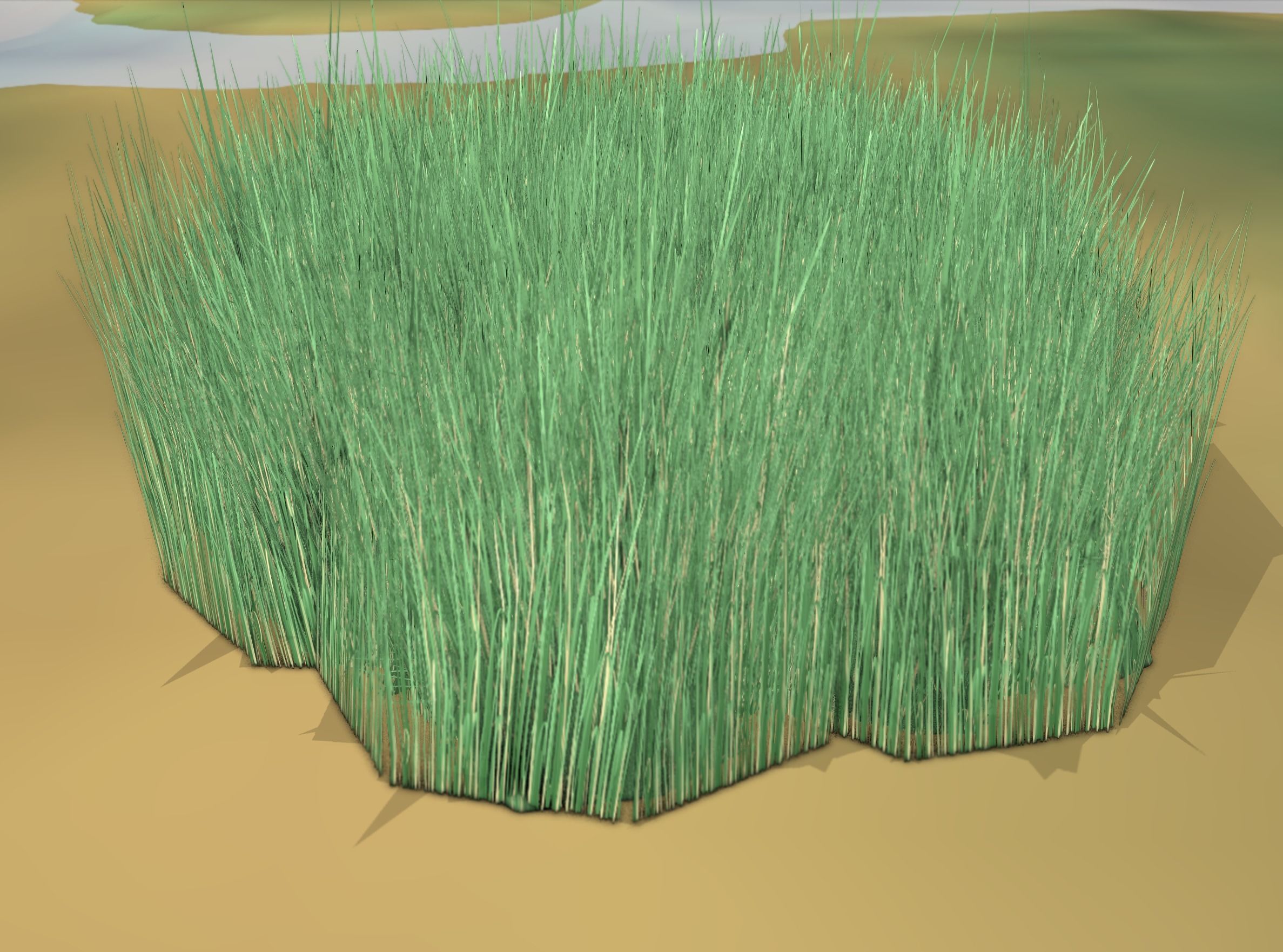 Reeds - Object 55 Low-poly 3D model_44