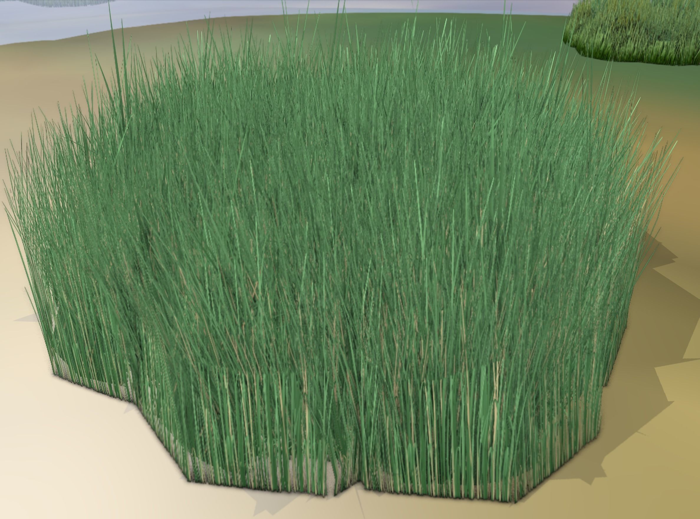 Reeds - Object 55 Low-poly 3D model_12