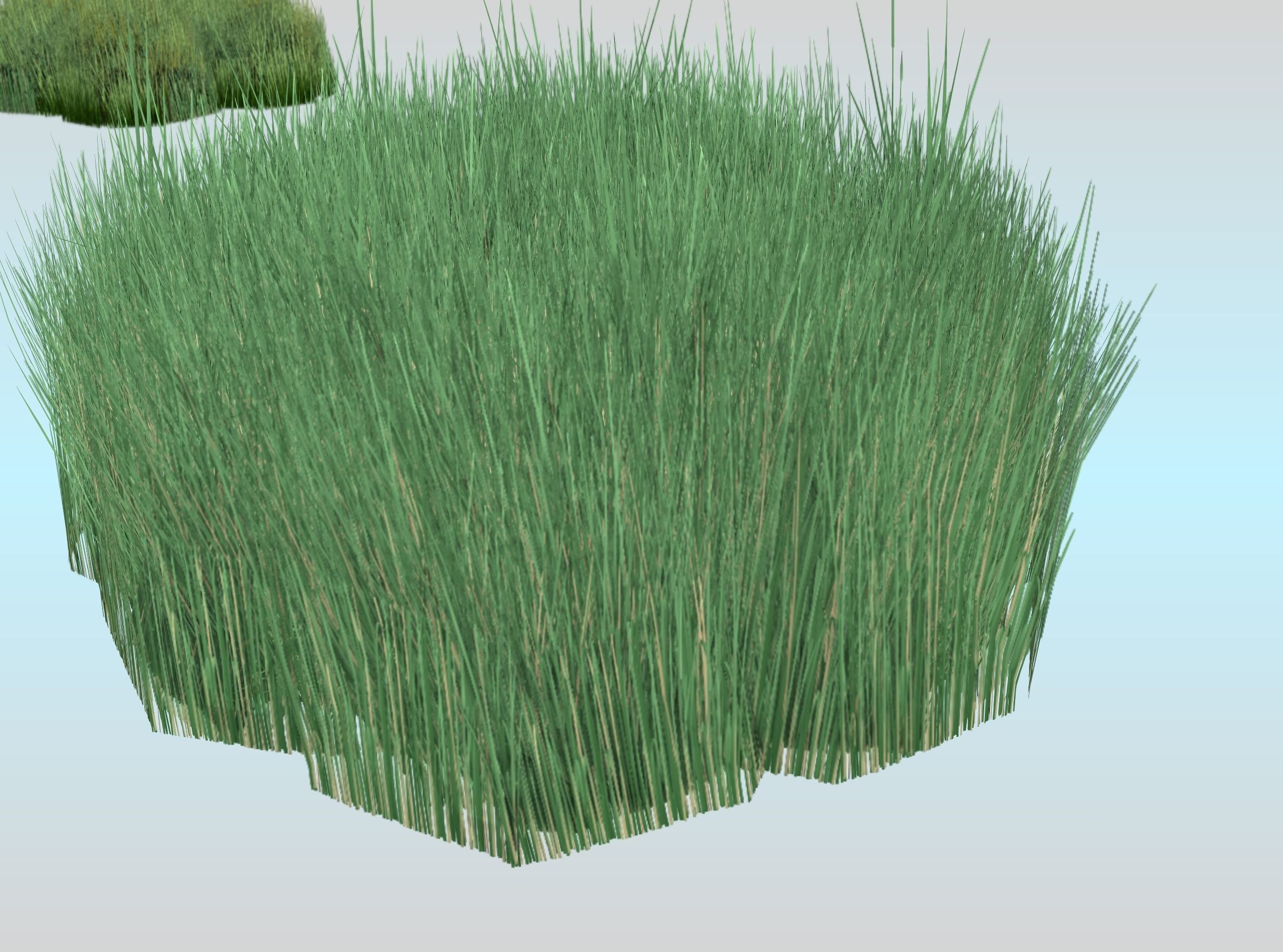 Reeds - Object 55 Low-poly 3D model_28