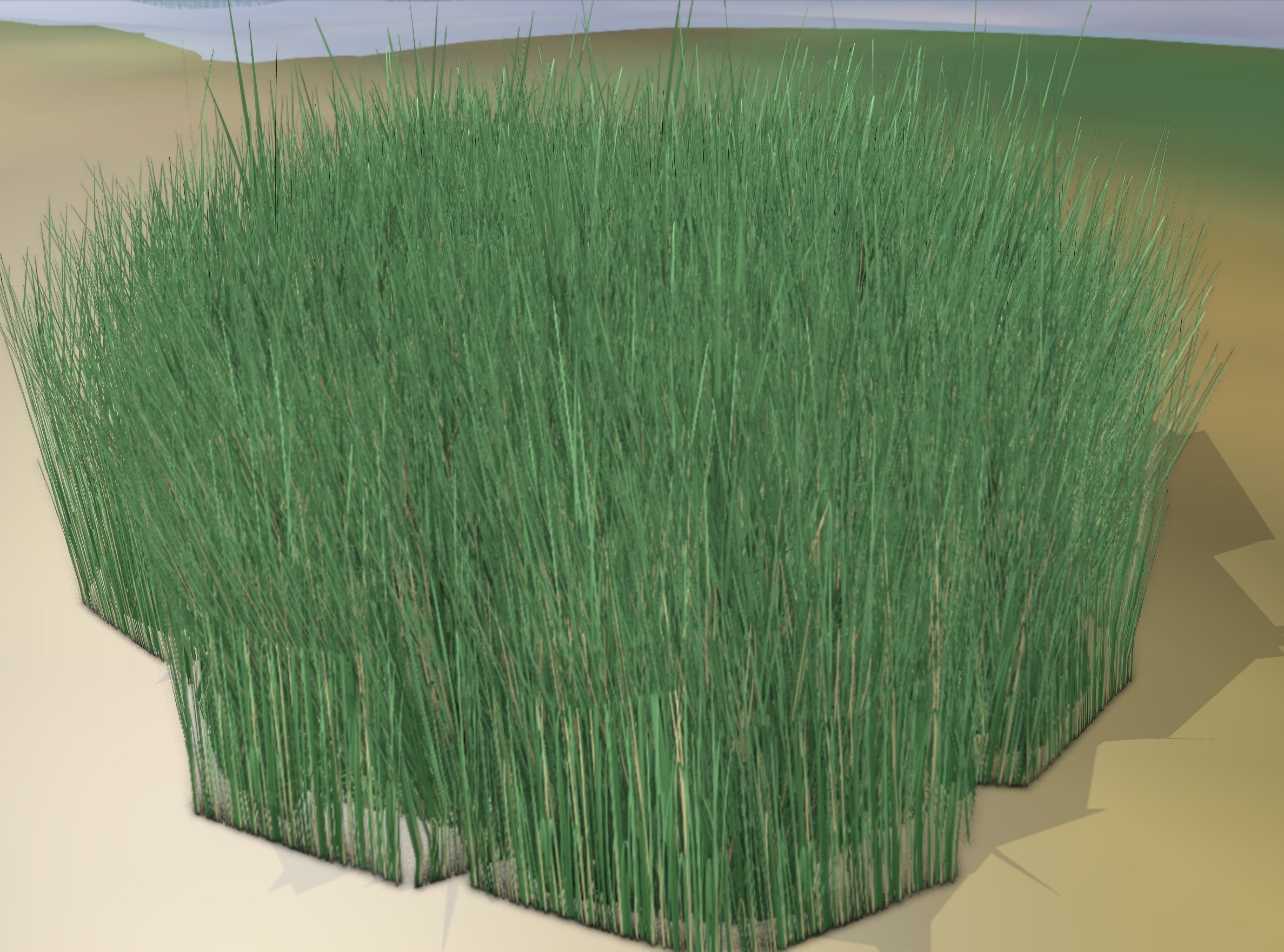 Reeds - Object 55 Low-poly 3D model_14