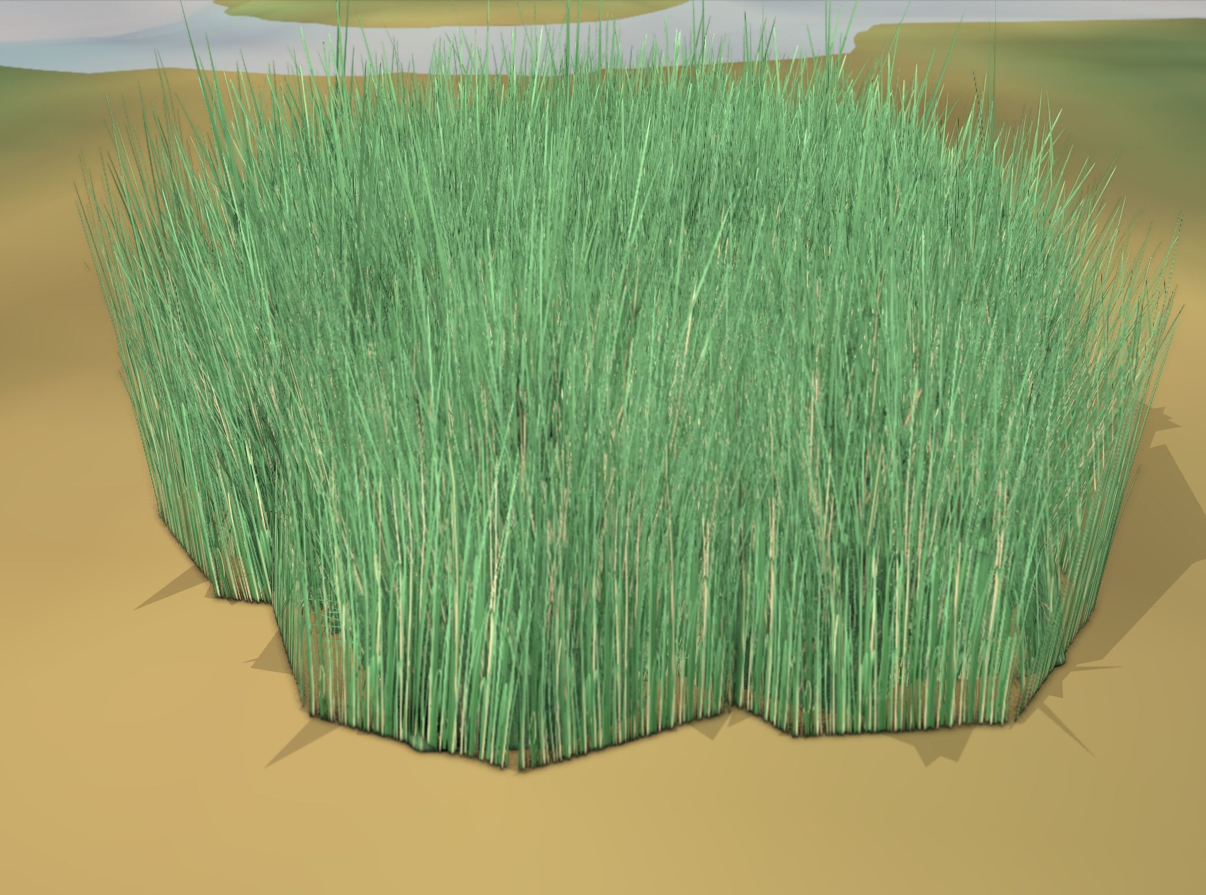 Reeds - Object 55 Low-poly 3D model_45