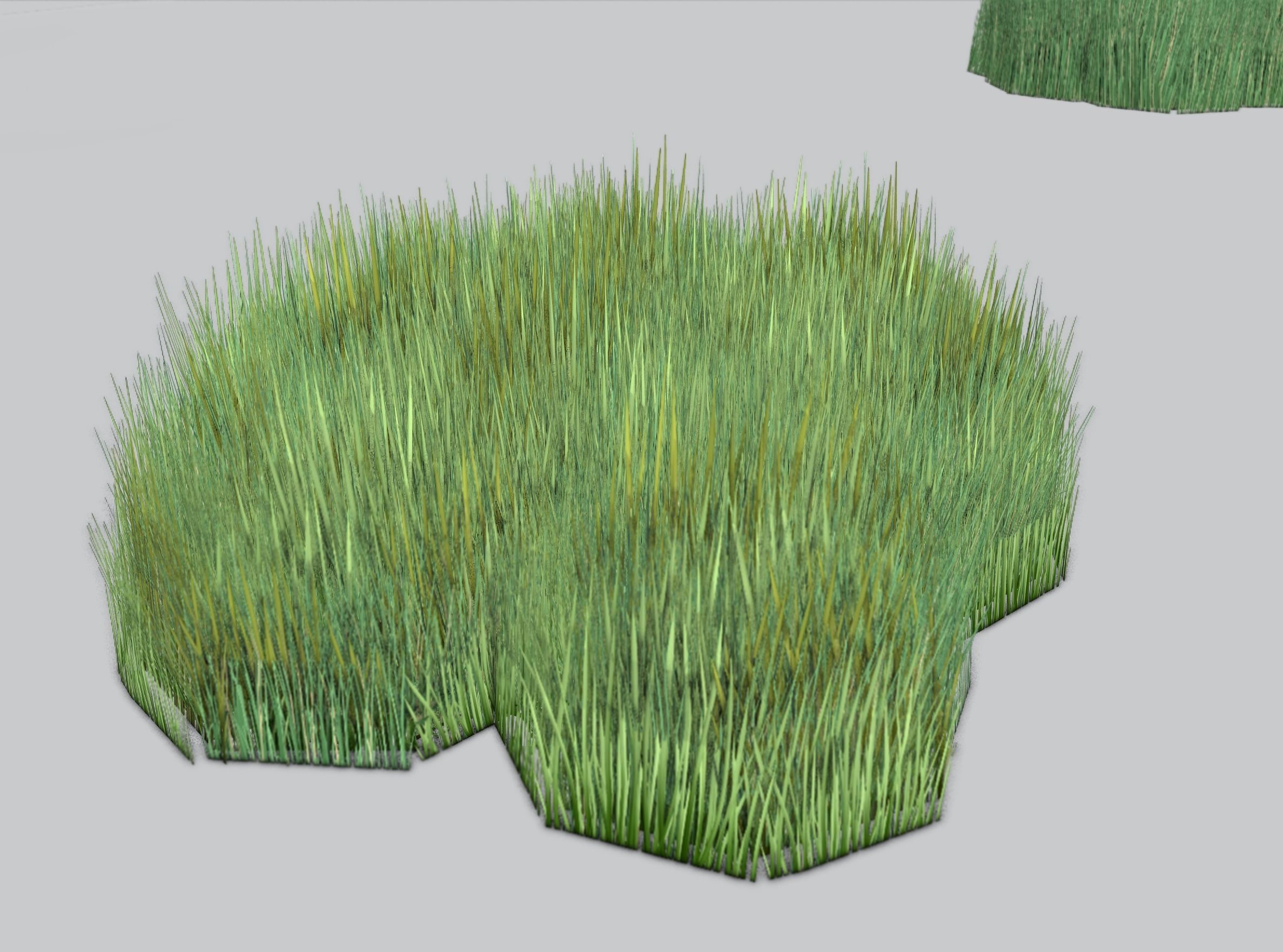 Reeds - Object 56 Low-poly 3D model_35