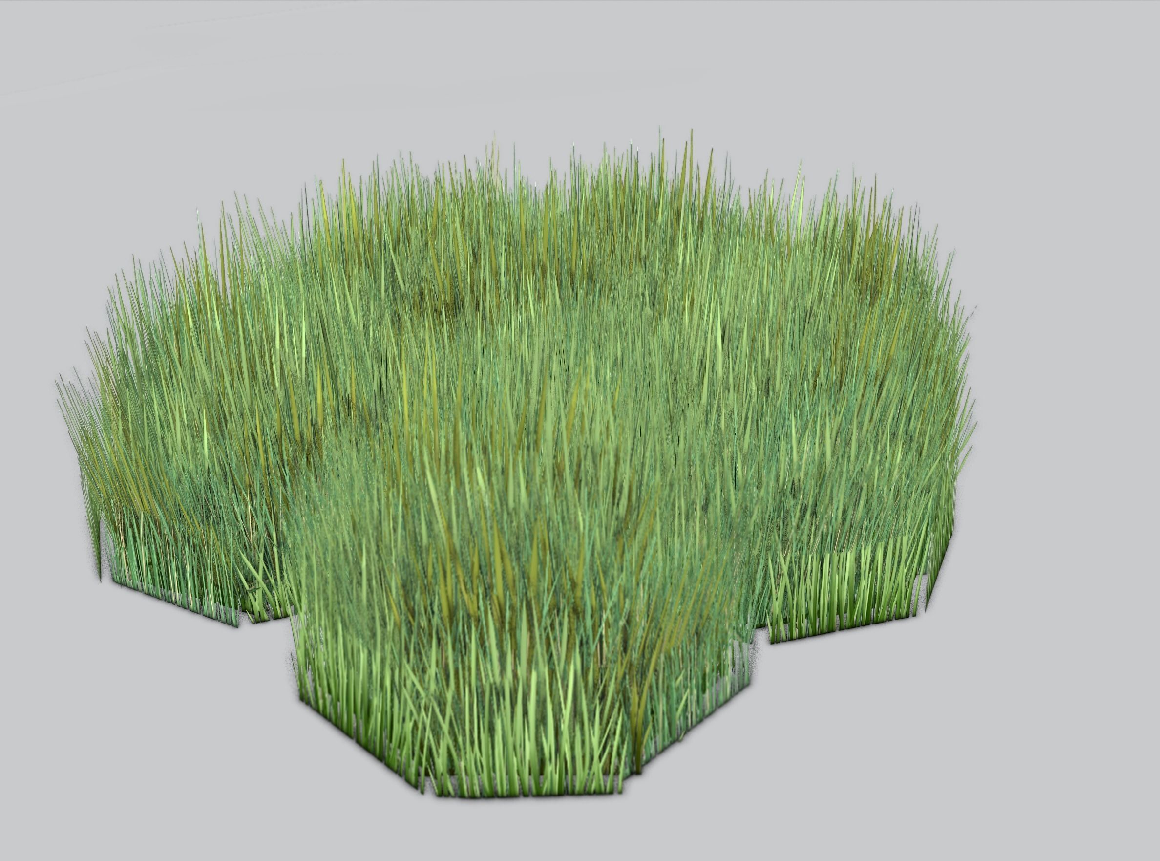 Reeds - Object 56 Low-poly 3D model_38