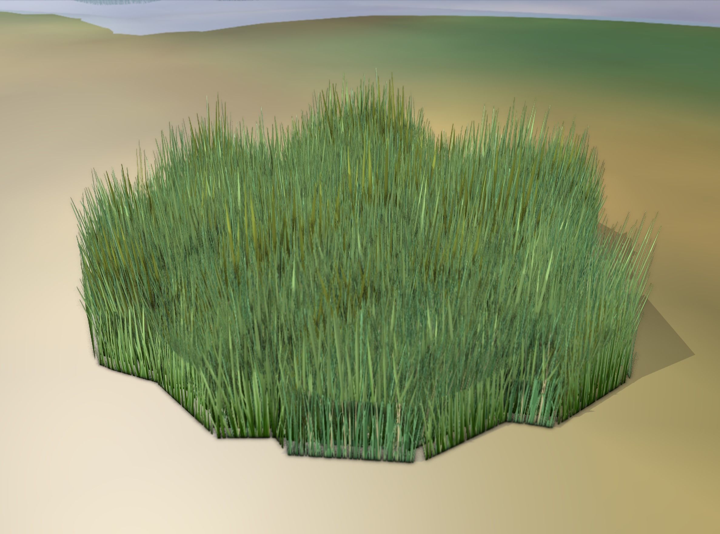 Reeds - Object 56 Low-poly 3D model_14