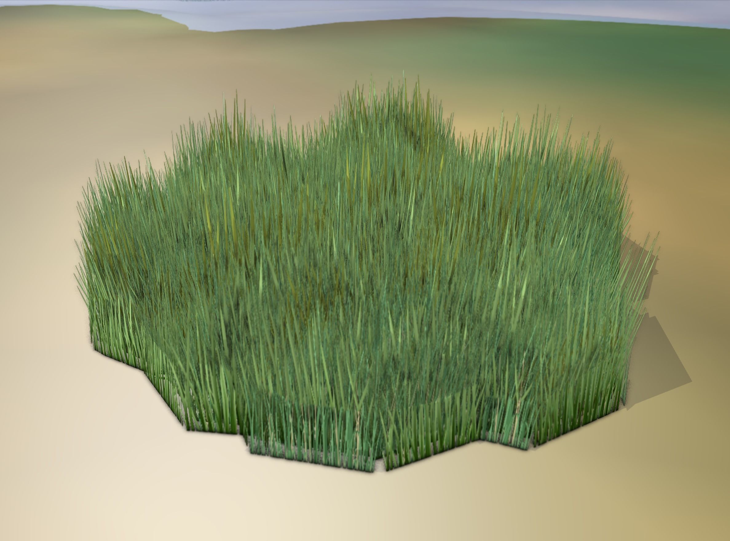 Reeds - Object 56 Low-poly 3D model_15