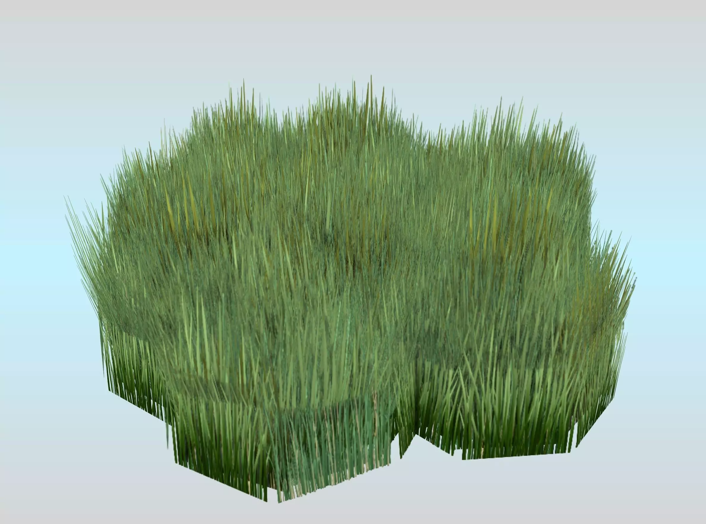 Reeds - Object 56 Low-poly 3D model_0