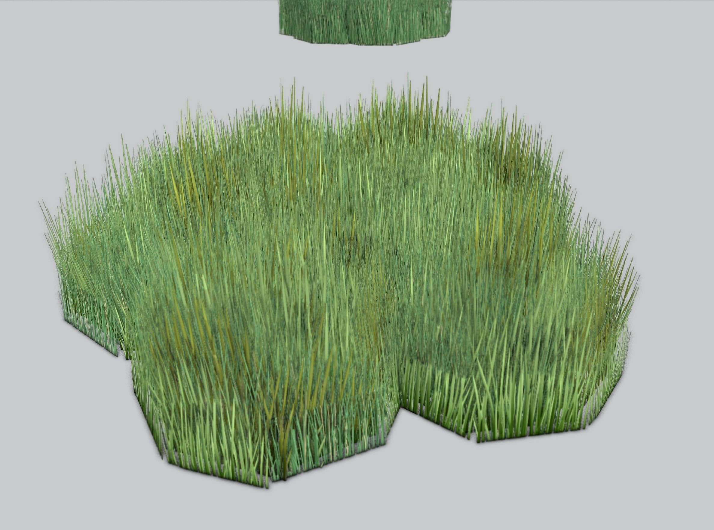 Reeds - Object 56 Low-poly 3D model_31