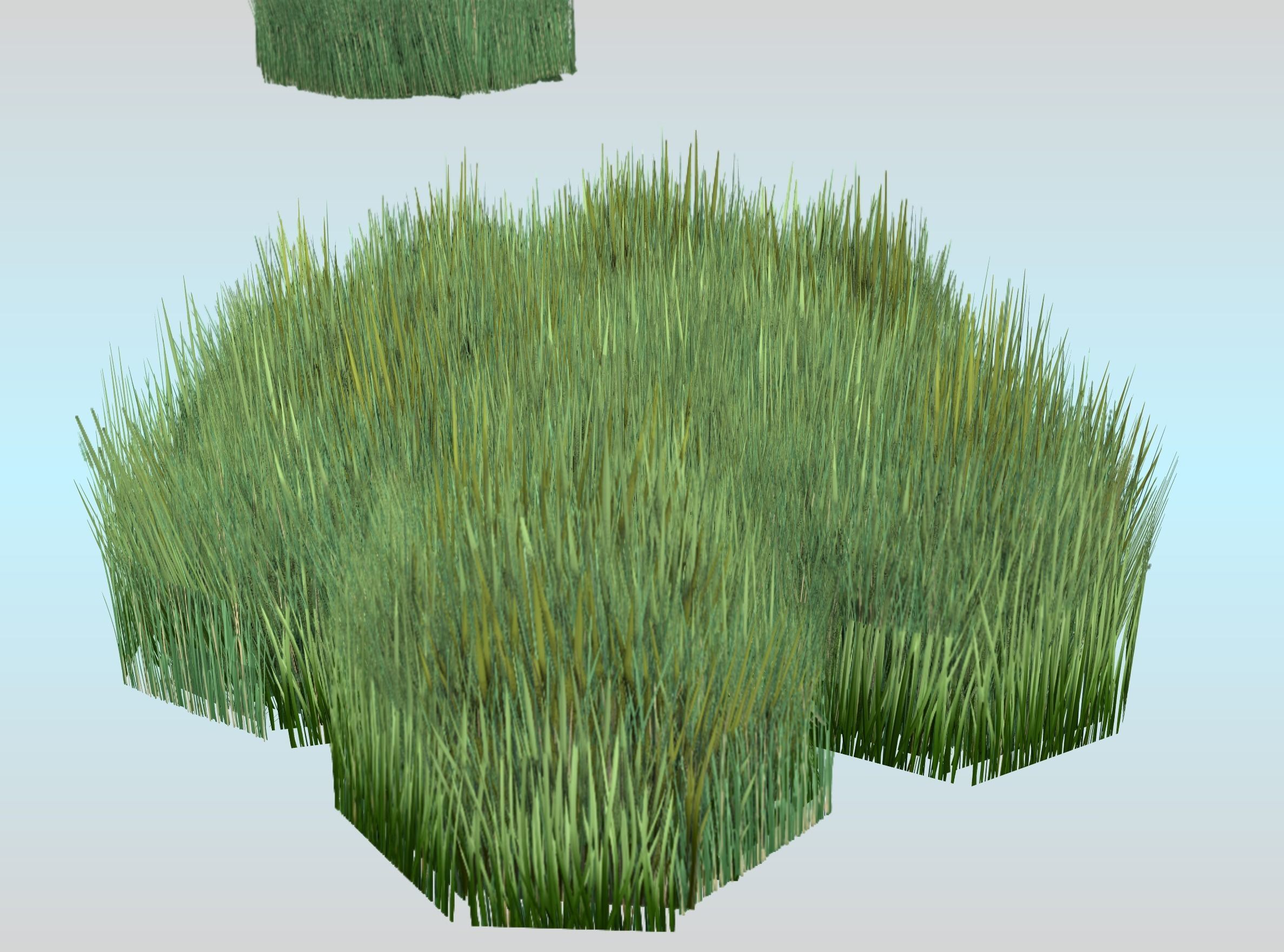 Reeds - Object 56 Low-poly 3D model_29