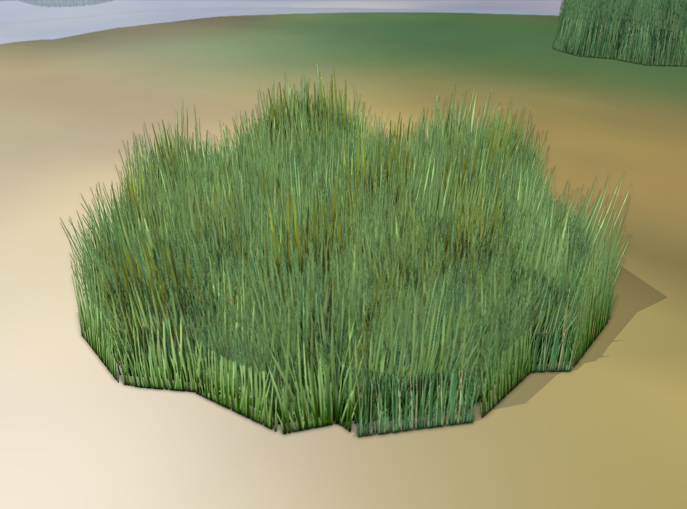 Reeds - Object 56 Low-poly 3D model_12