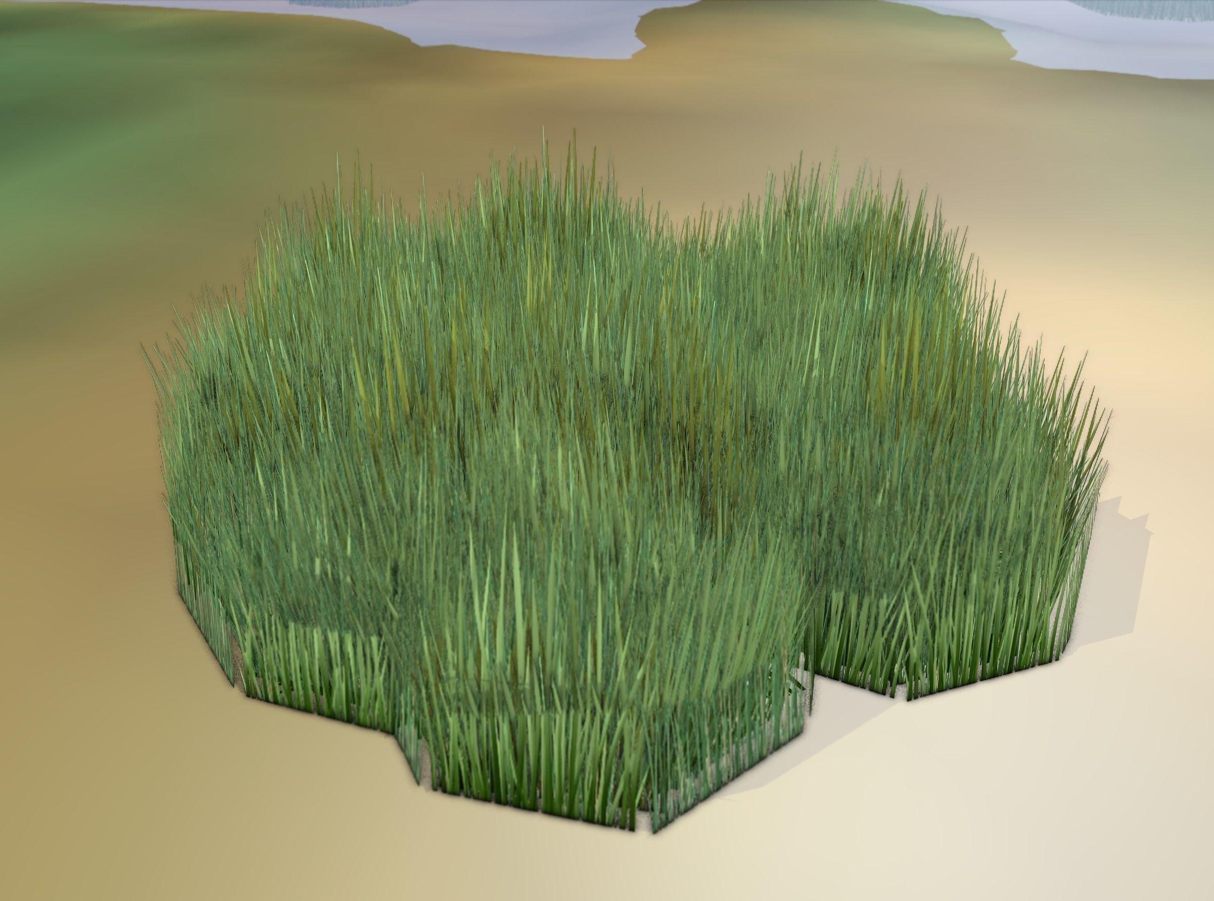 Reeds - Object 56 Low-poly 3D model_21