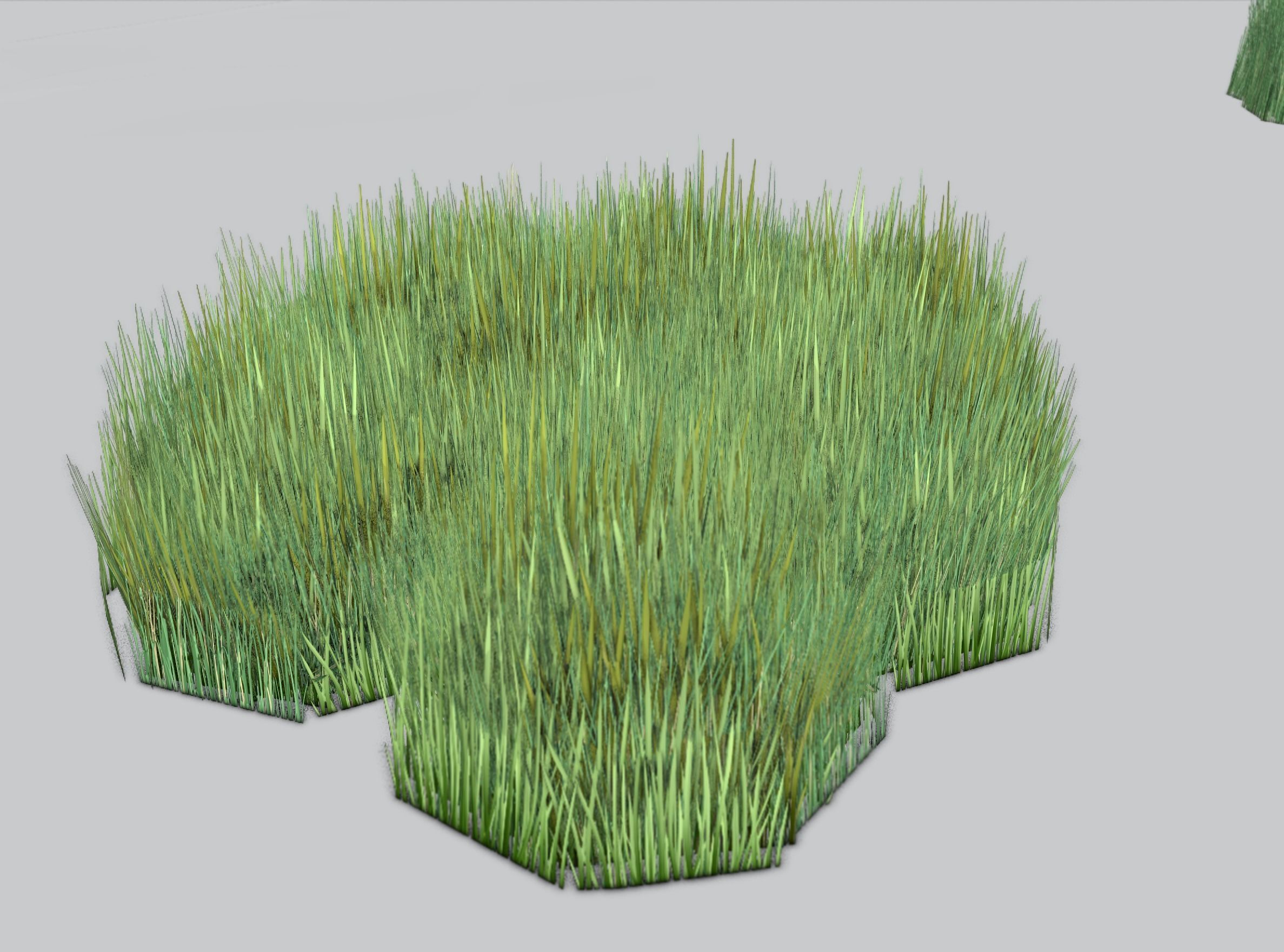 Reeds - Object 56 Low-poly 3D model_37