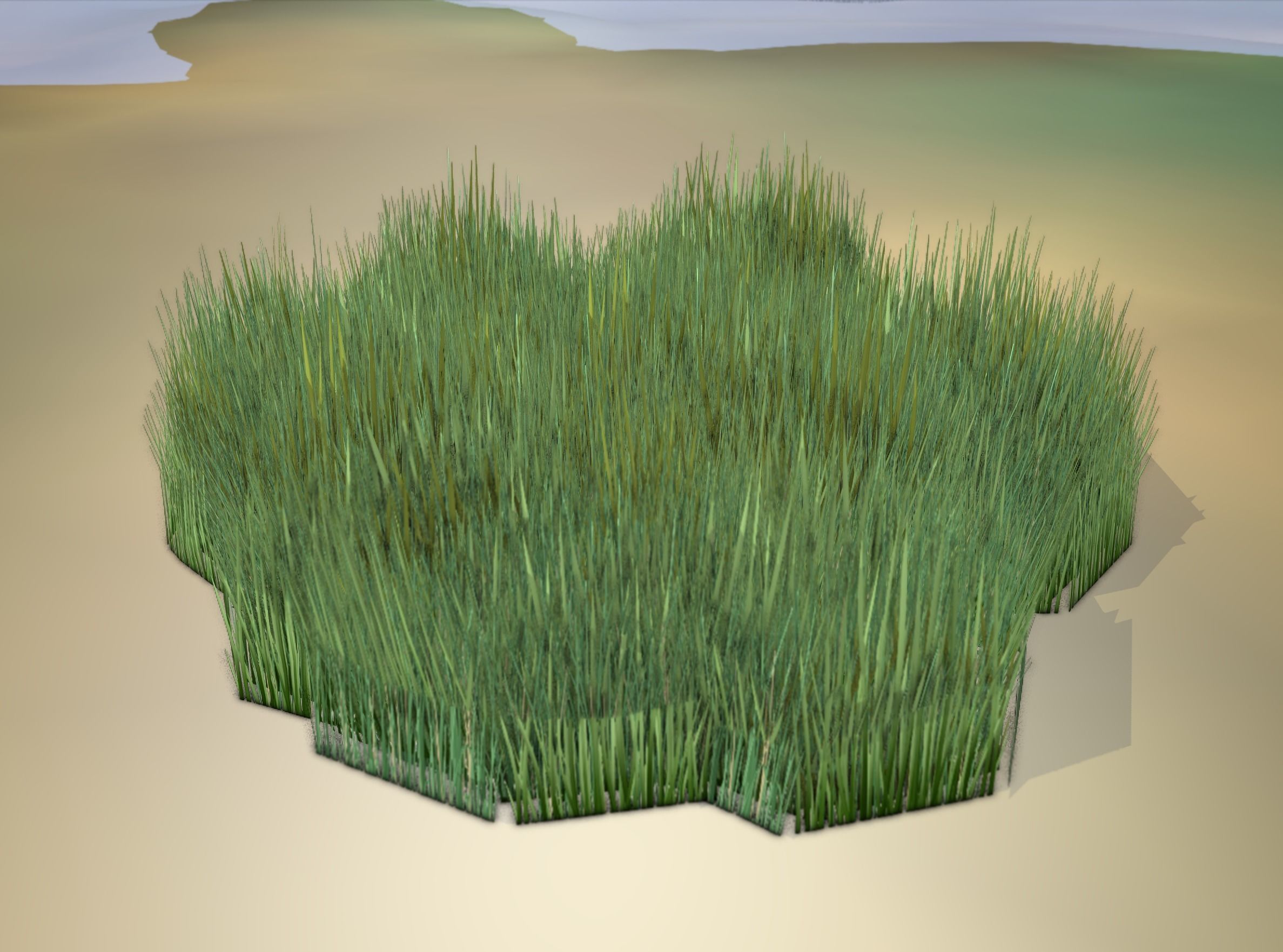 Reeds - Object 56 Low-poly 3D model_17