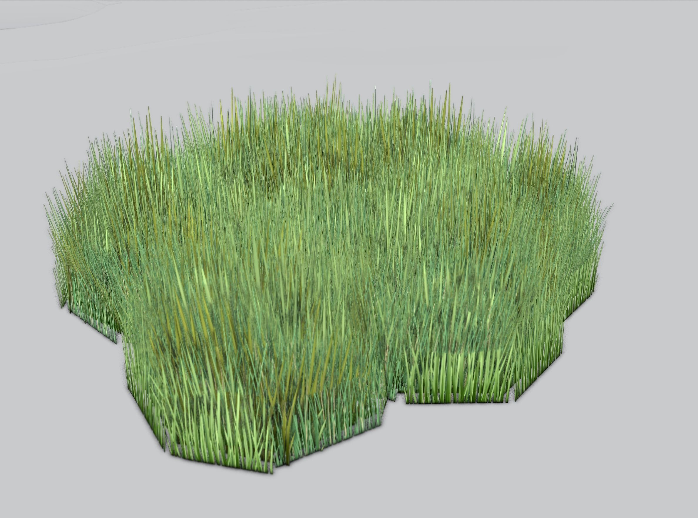 Reeds - Object 56 Low-poly 3D model_40