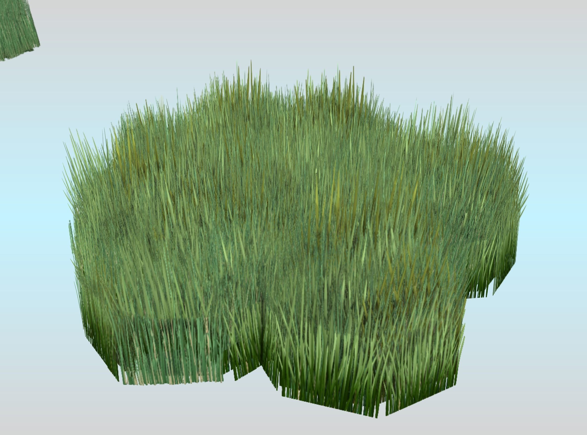 Reeds - Object 56 Low-poly 3D model_25