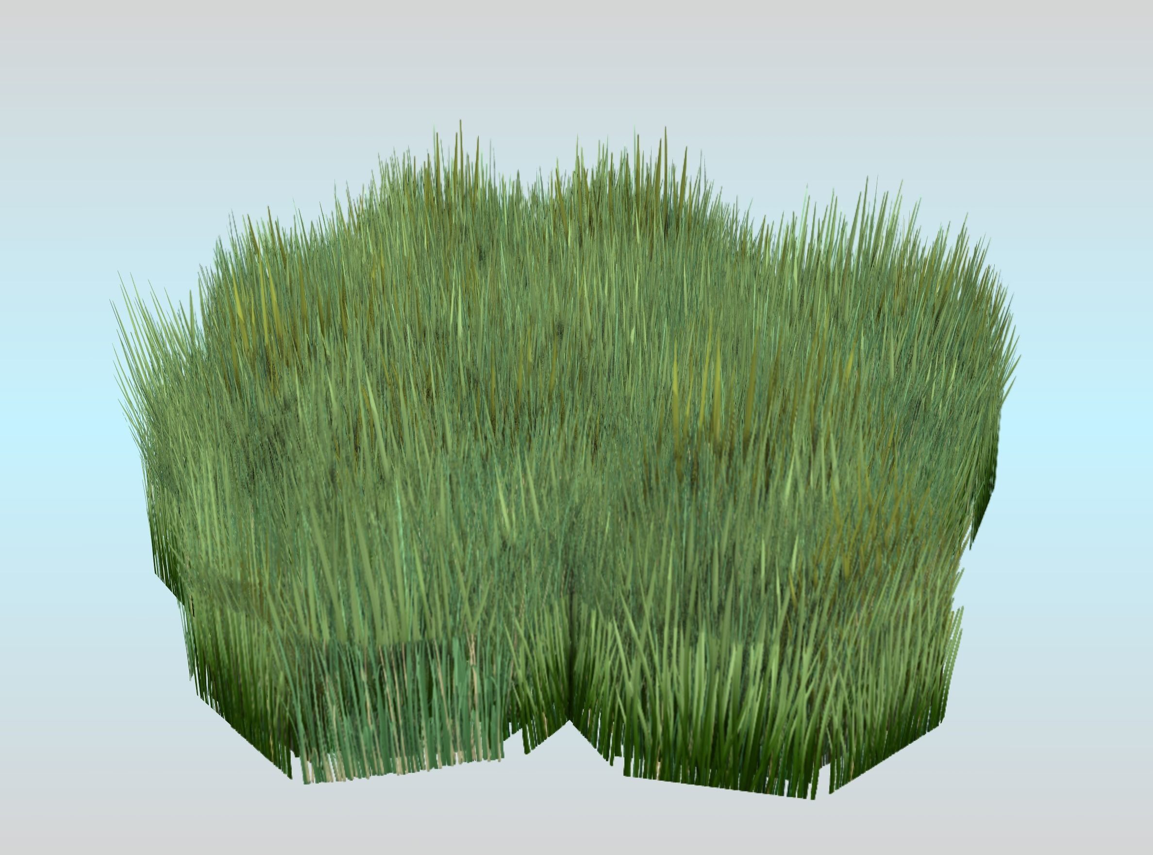 Reeds - Object 56 Low-poly 3D model_24