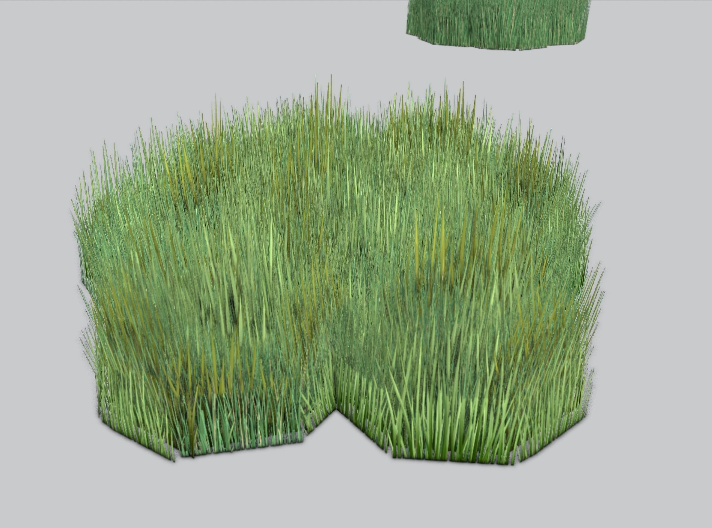 Reeds - Object 56 Low-poly 3D model_33