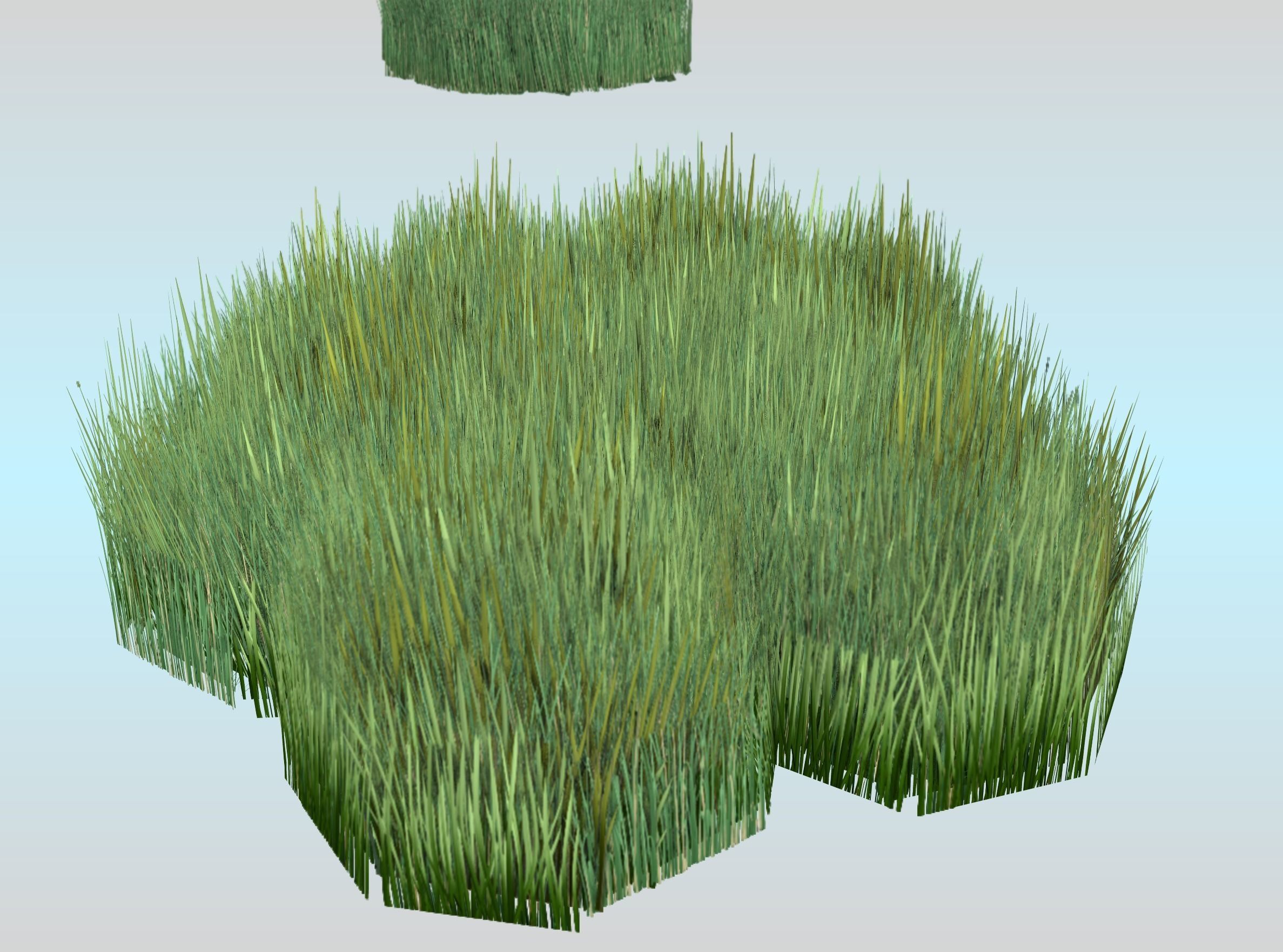 Reeds - Object 56 Low-poly 3D model_30