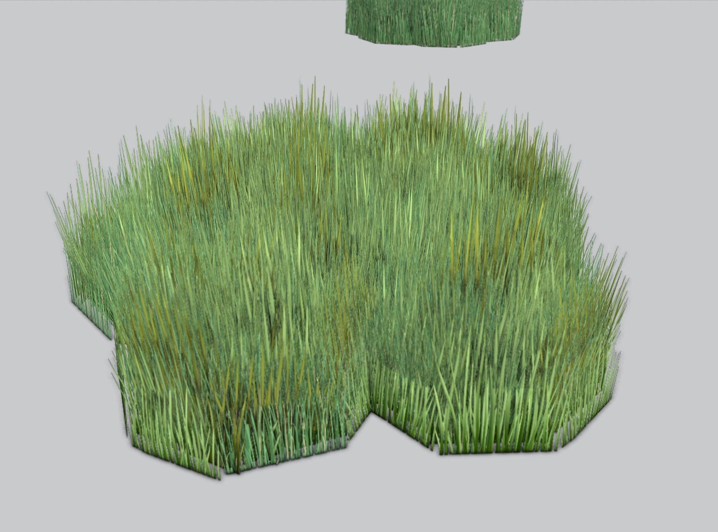 Reeds - Object 56 Low-poly 3D model_32