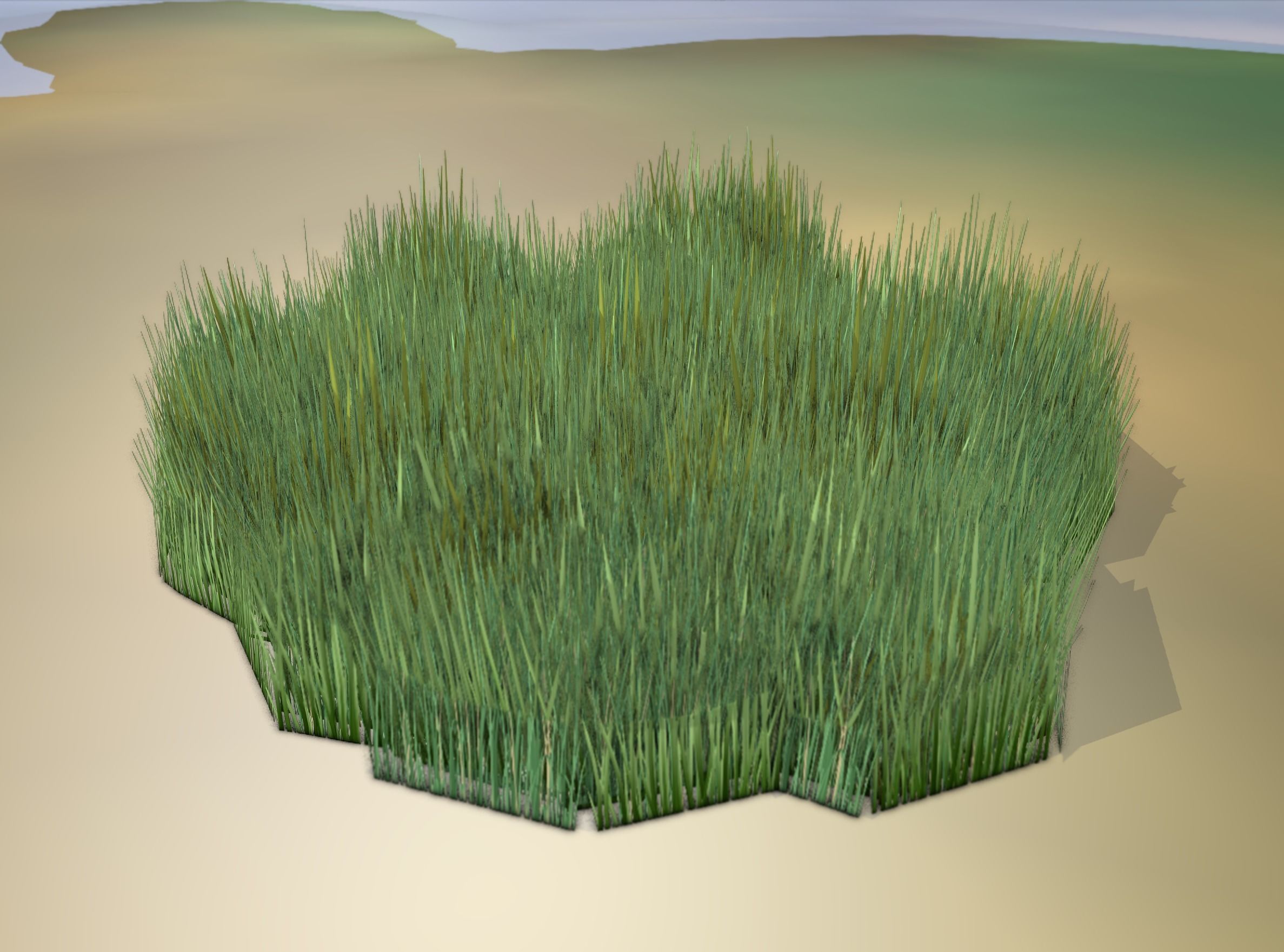 Reeds - Object 56 Low-poly 3D model_16