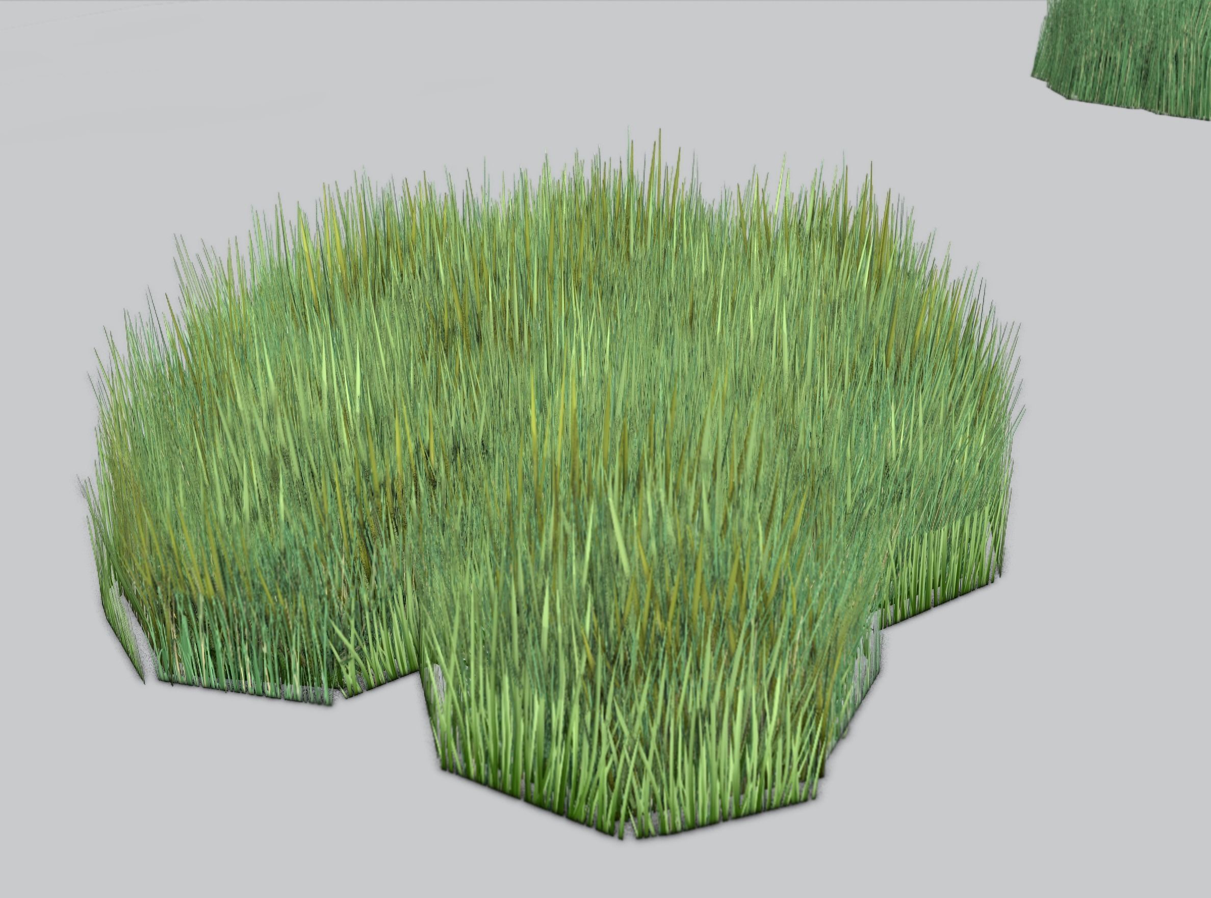 Reeds - Object 56 Low-poly 3D model_36