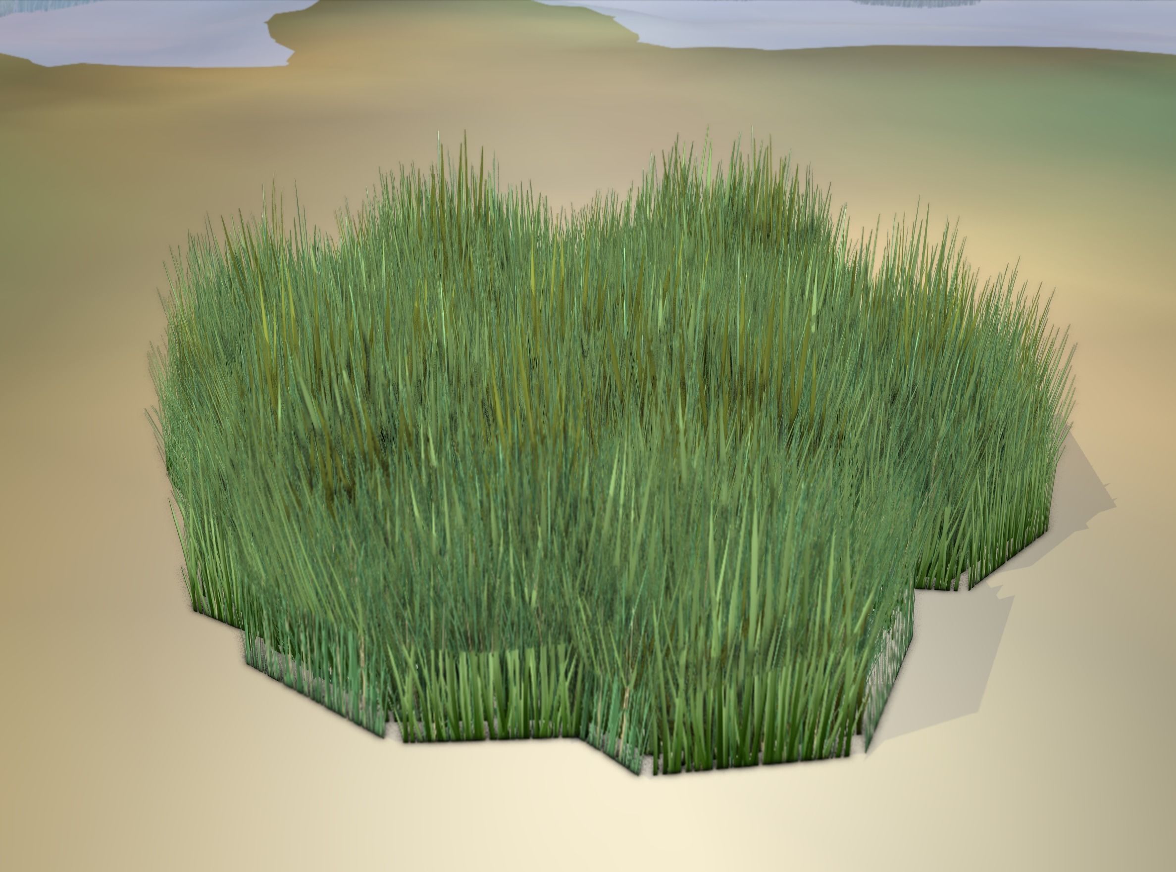 Reeds - Object 56 Low-poly 3D model_18