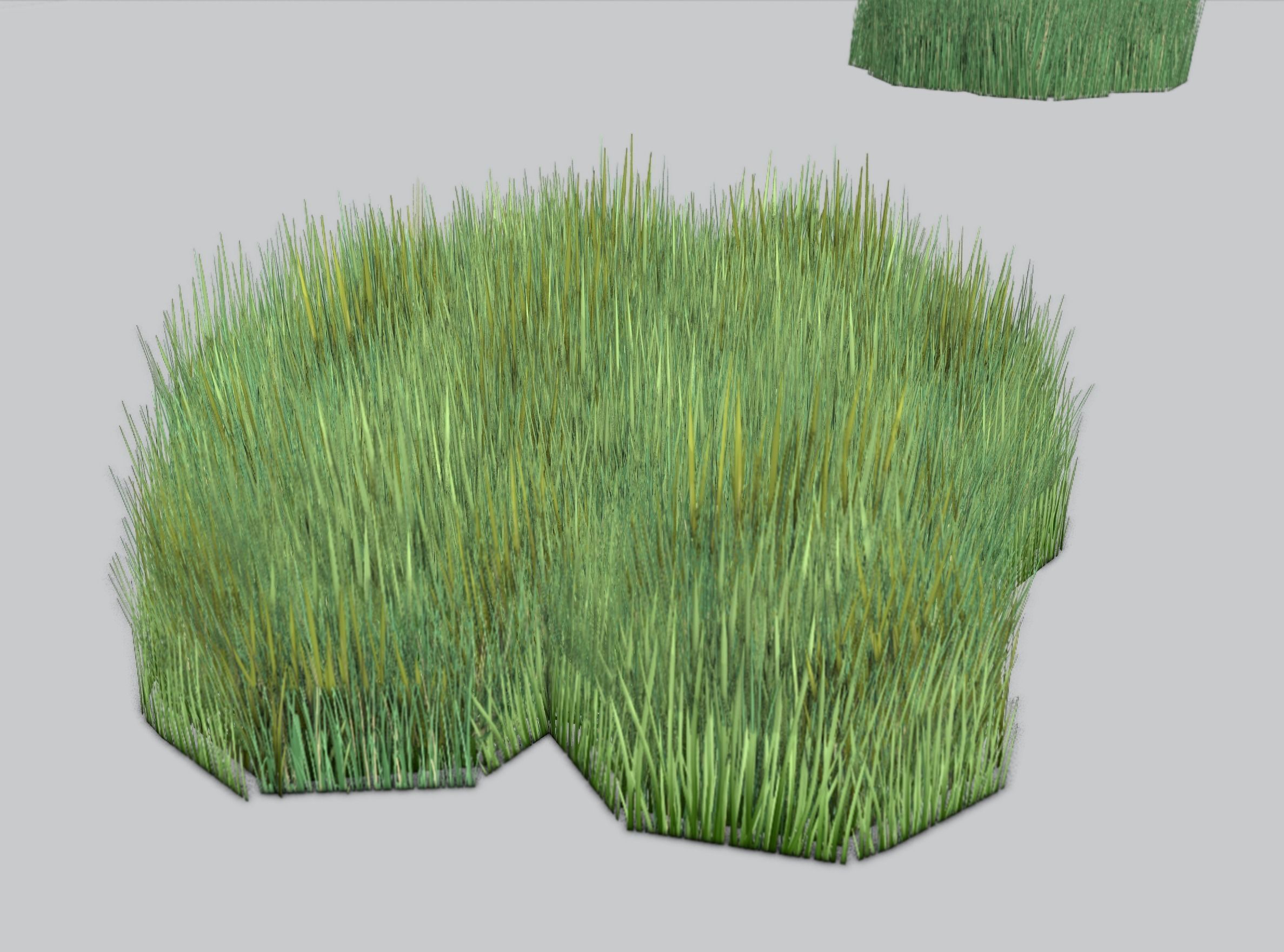Reeds - Object 56 Low-poly 3D model_34