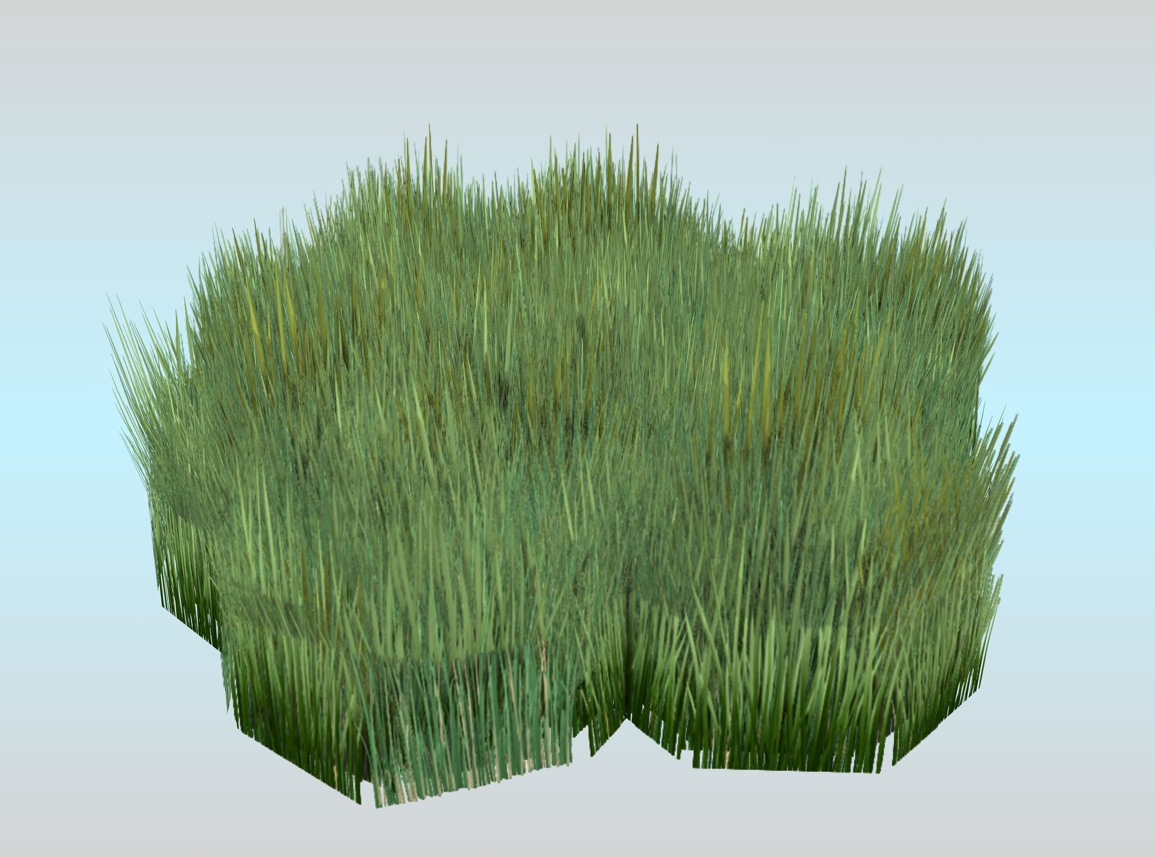 Reeds - Object 56 Low-poly 3D model_23