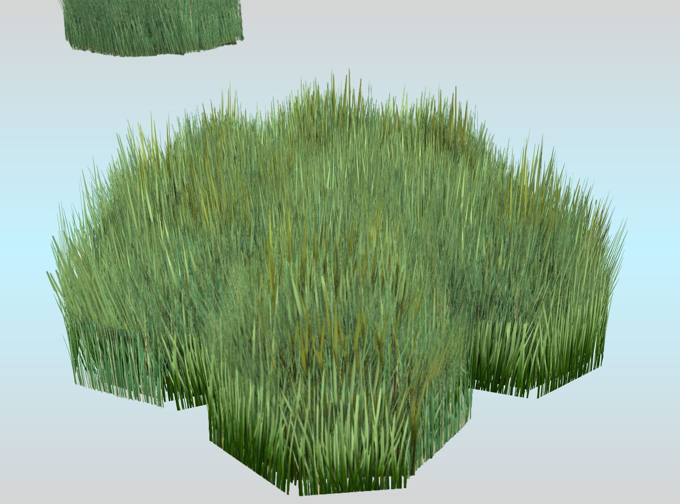 Reeds - Object 56 Low-poly 3D model_28