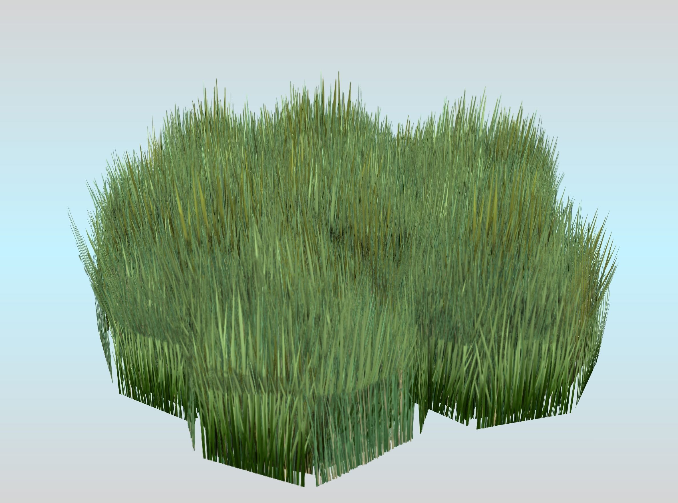 Reeds - Object 56 Low-poly 3D model_22