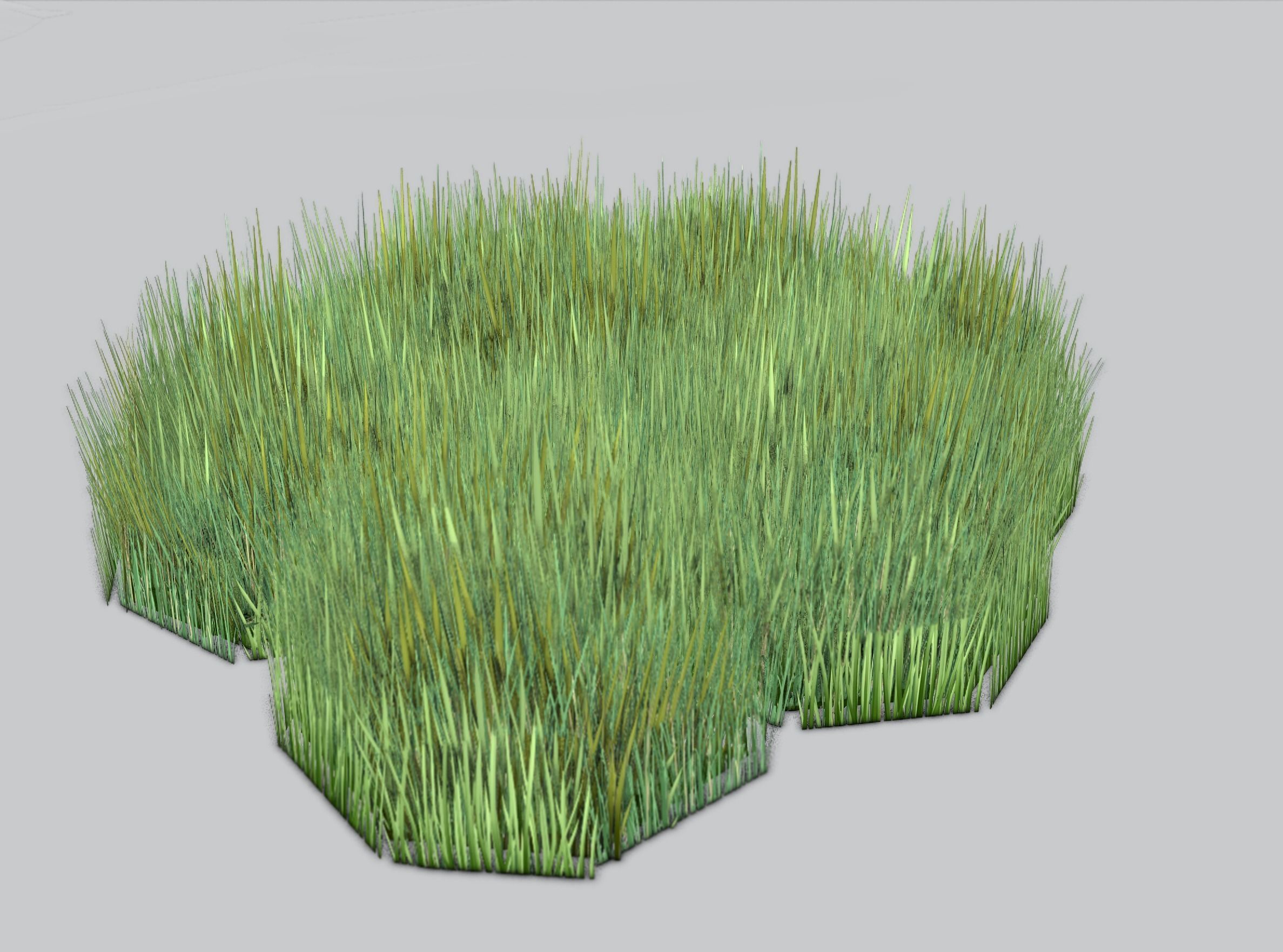 Reeds - Object 56 Low-poly 3D model_39